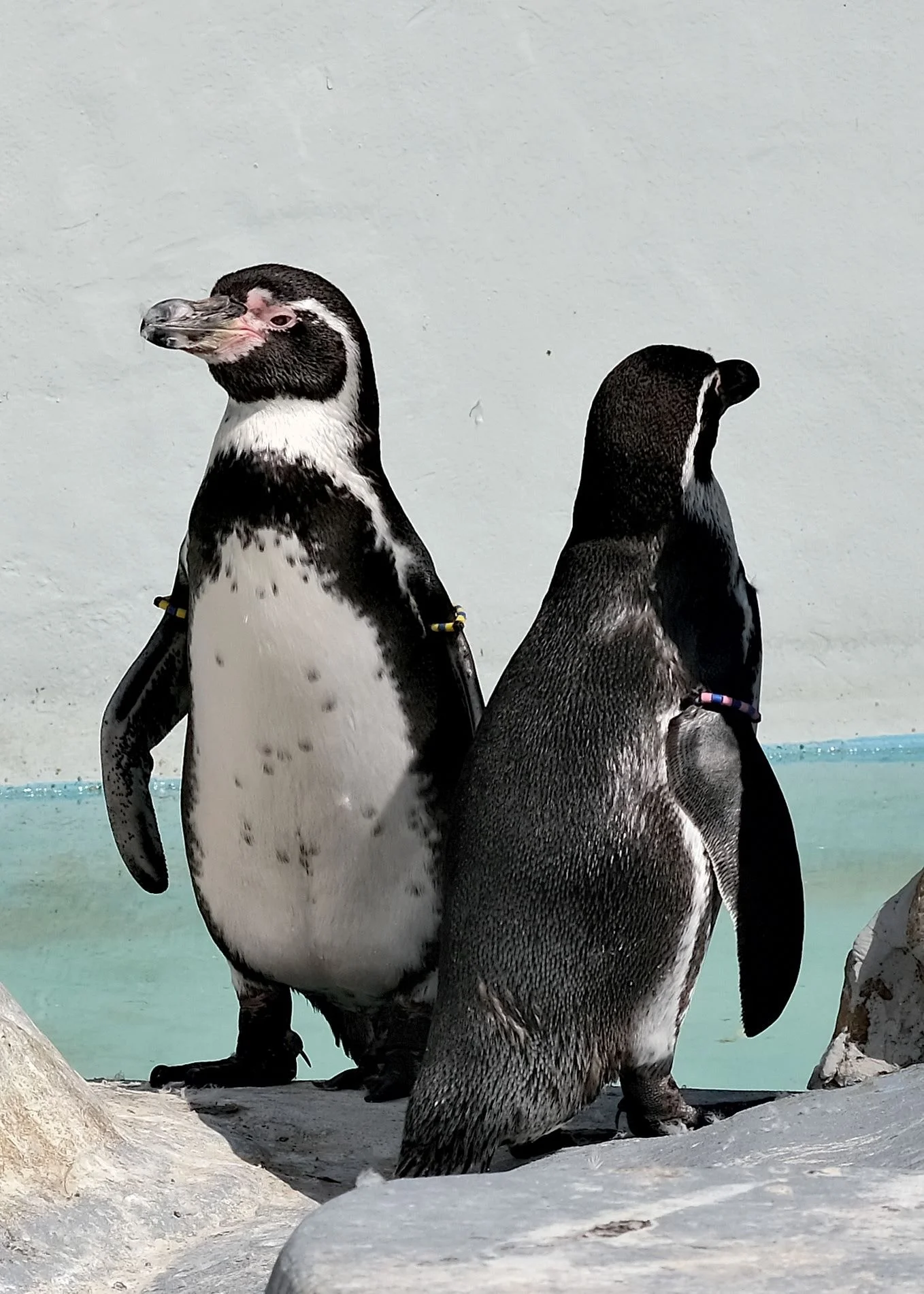 reinhard-galerie-zoo10.JPG