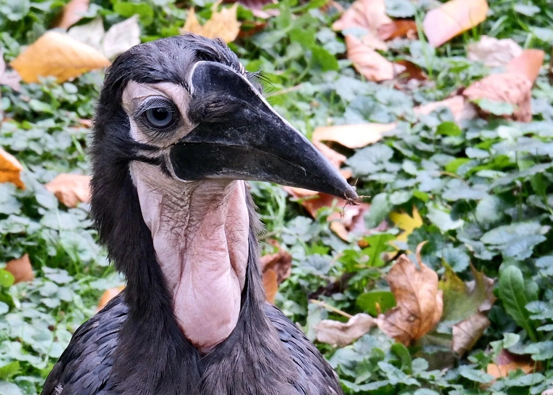 reinhard-galerie-zoo22.JPG