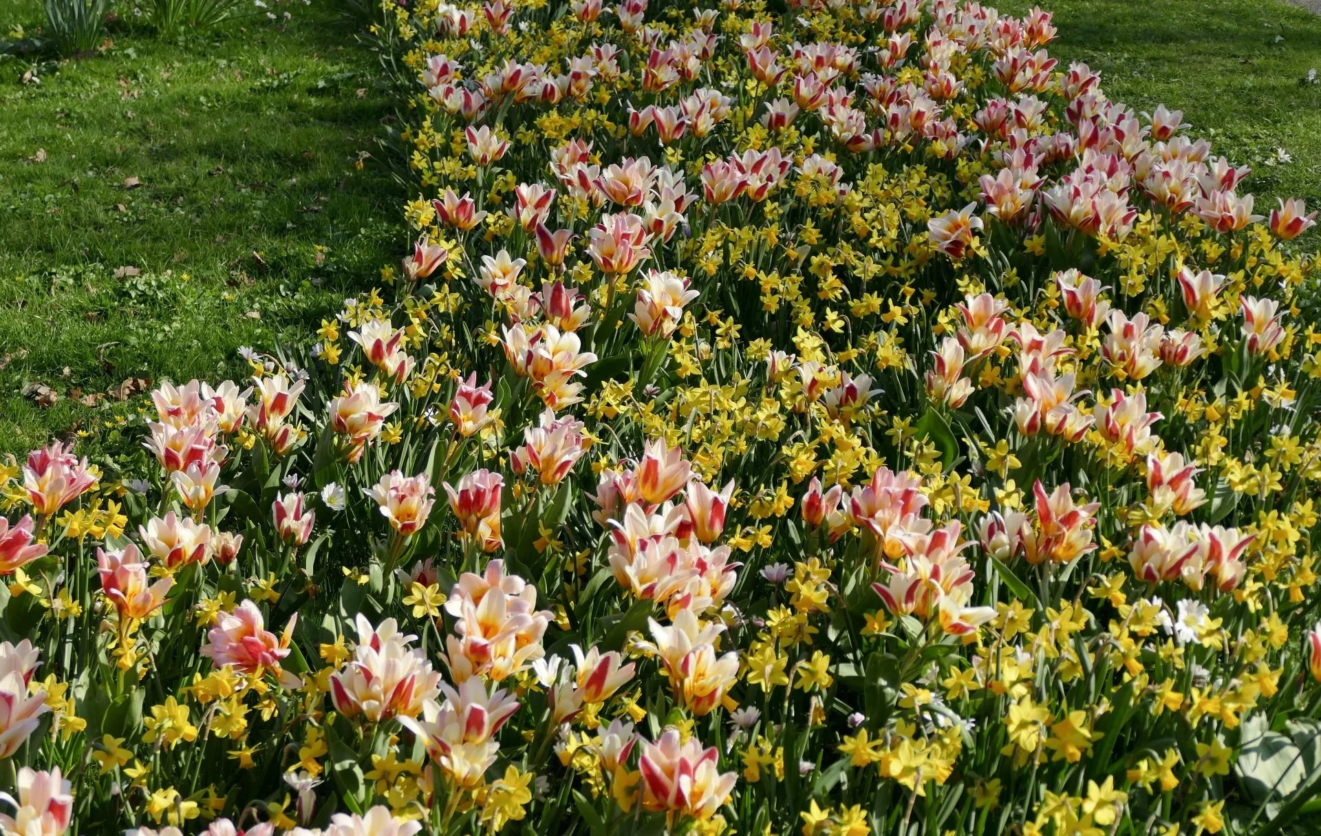 Doris - Frühling II