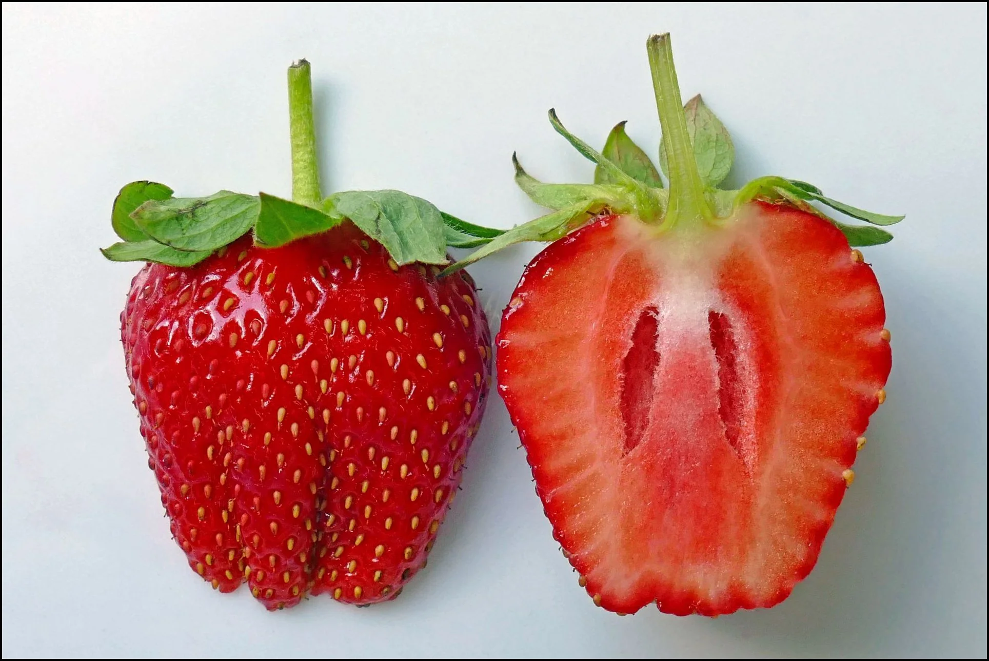 10 ursula-obst-1920.jpg