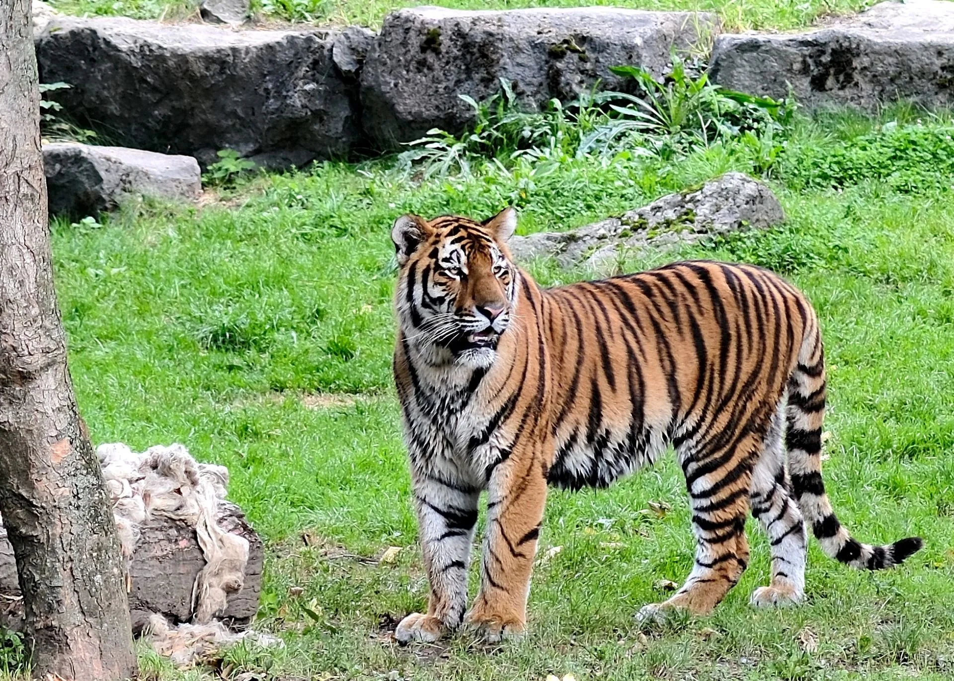 reinhard-galerie-zoo16.JPG