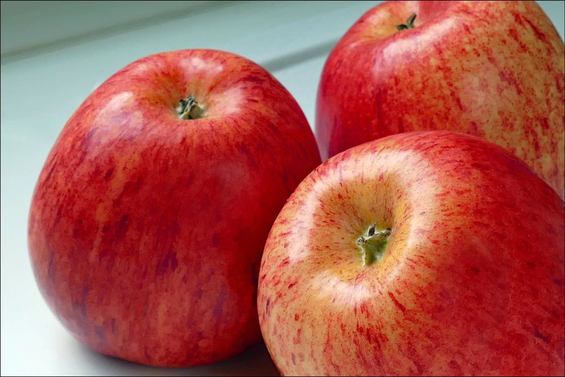 2 ursula-obst-1920.jpg