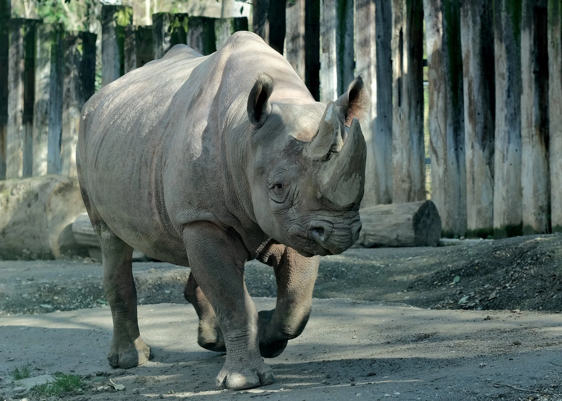 reinhard-galerie-zoo2.JPG
