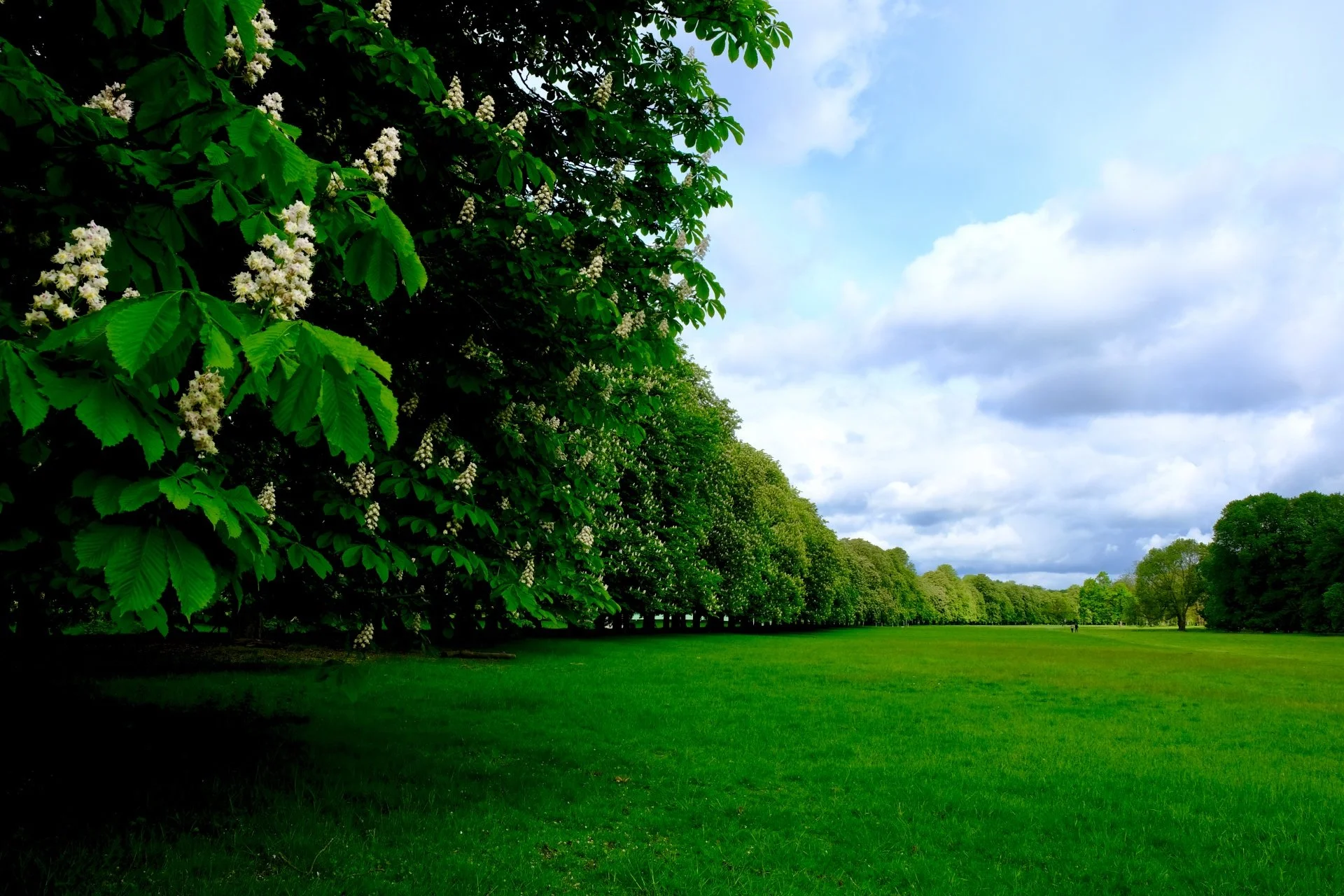 Erika - Parks und Gärten I