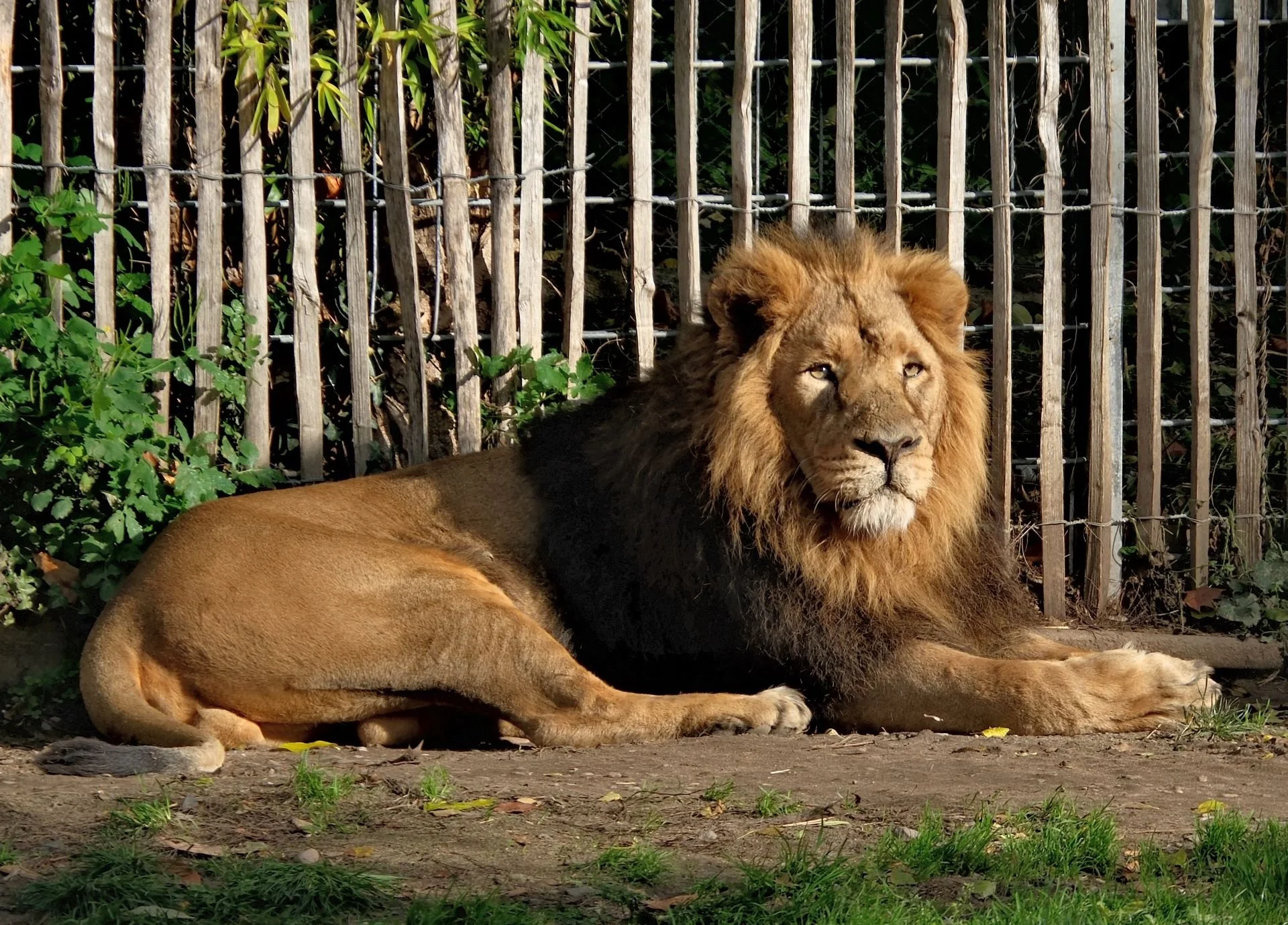 reinhard-galerie-zoo21.JPG