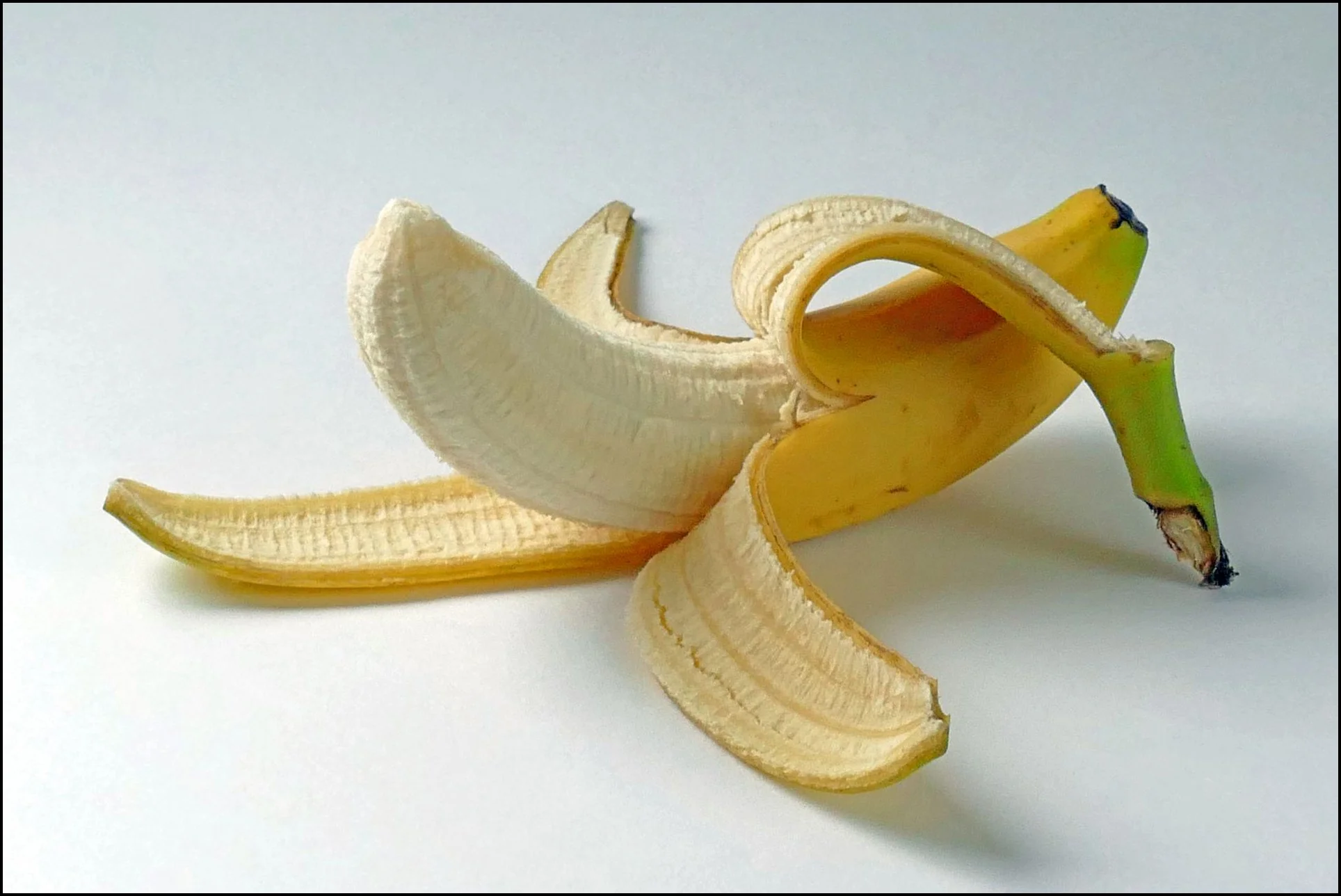 6 ursula-obst-1920.jpg