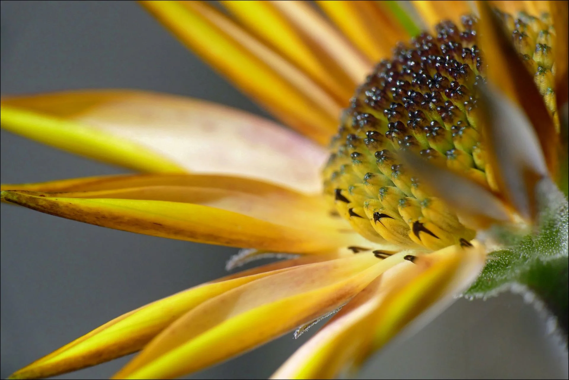 Ursula - Themenfrei II