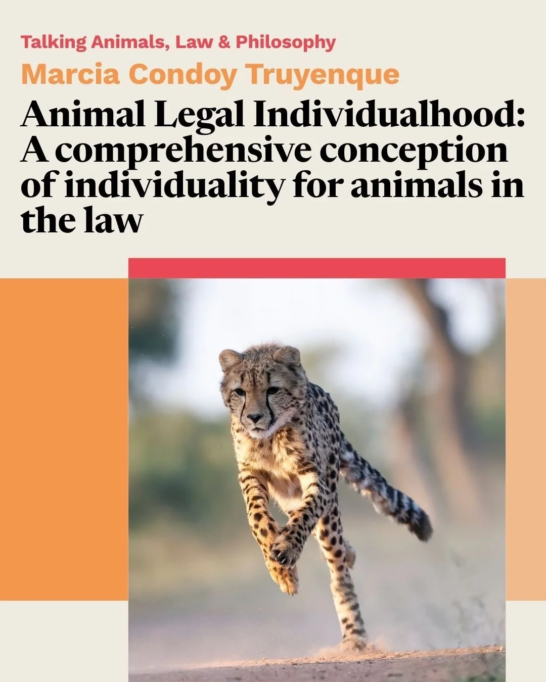 Catch our next Talking Animals, Law &amp; Philosophy talk tomorrow, 27 February, at 5.00pm (UK time) on Zoom! 🐆

Marcia Condoy Truyenque (Visiting Researcher at CCARL; PhD candidate @universityofhelsinki) will present &ldquo;Animal Legal Individualh