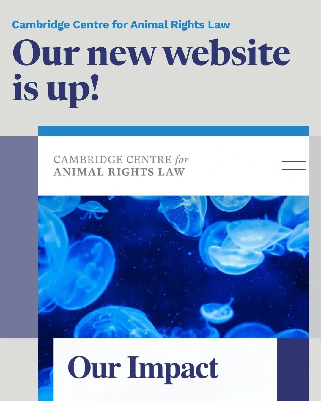 There's a new site on the block! 💻

You may have noticed our website recently had a makeover. We are excited to continue bringing animal rights law educational resources, learning opportunities, and much more to our community in this new, vibrant wa