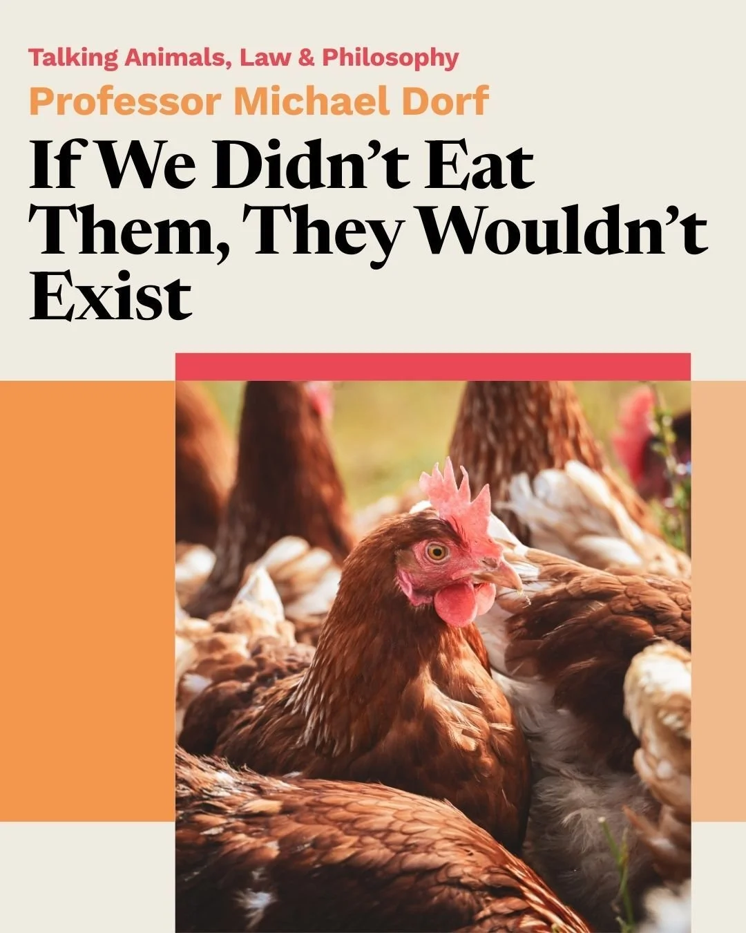 Don't miss tomorrow's Talking Animals, Law &amp; Philosophy talk! 

Professor Michael Dorf (Robert S. Stevens Professor of Law at Cornell Law School) will present "If We Didn&rsquo;t Eat Them, They Wouldn&rsquo;t Exist" tomorrow, Tuesday, 1