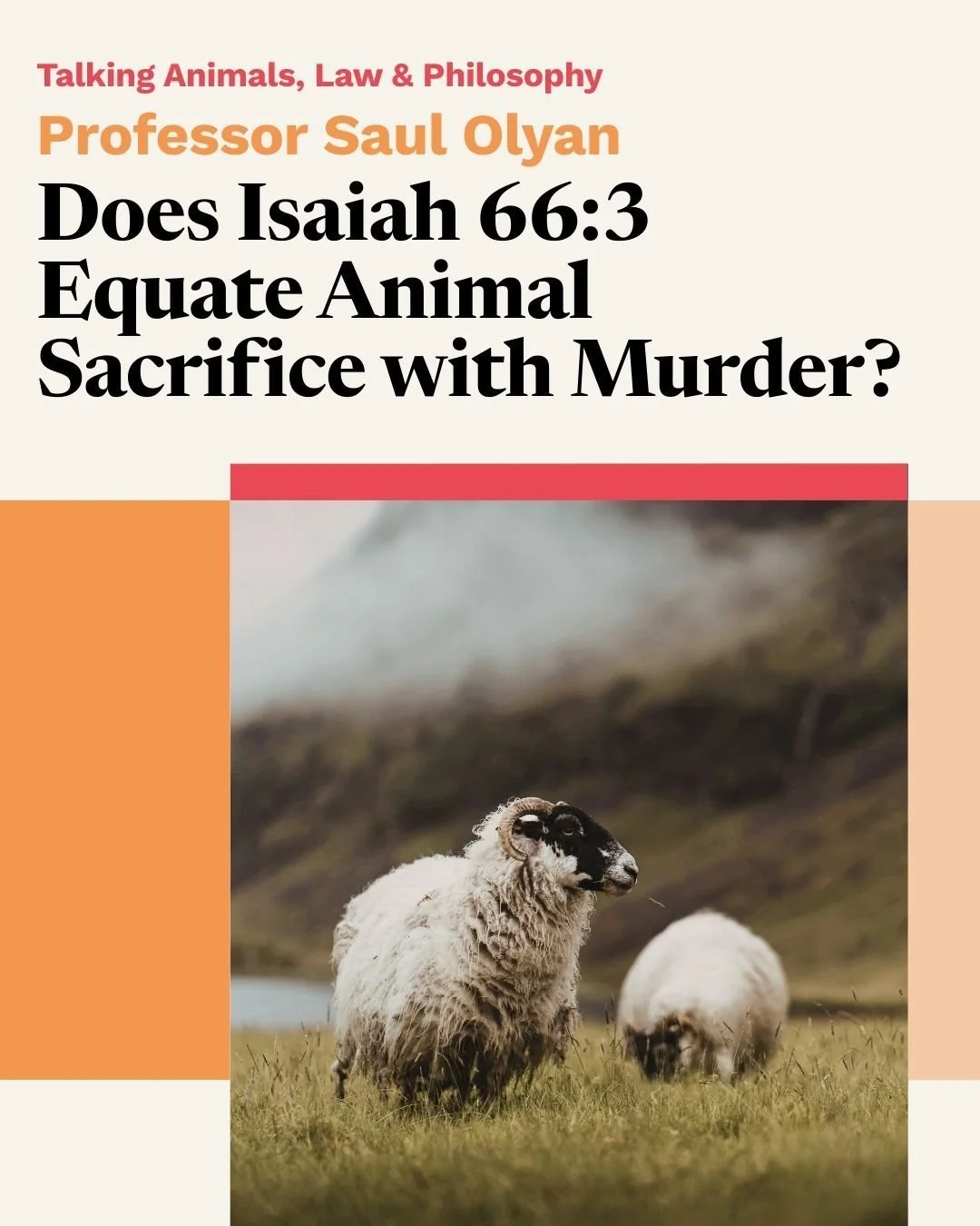 Don't miss the finale of this term's Talking Animals, Law &amp; Philosophy series! 👨&zwj;🏫

Tomorrow, 18th March, Professor Saul Olyan (Samuel Ungerleider Jr. Professor of Judaic Studies and Professor of Religious Studies at Brown University) will 