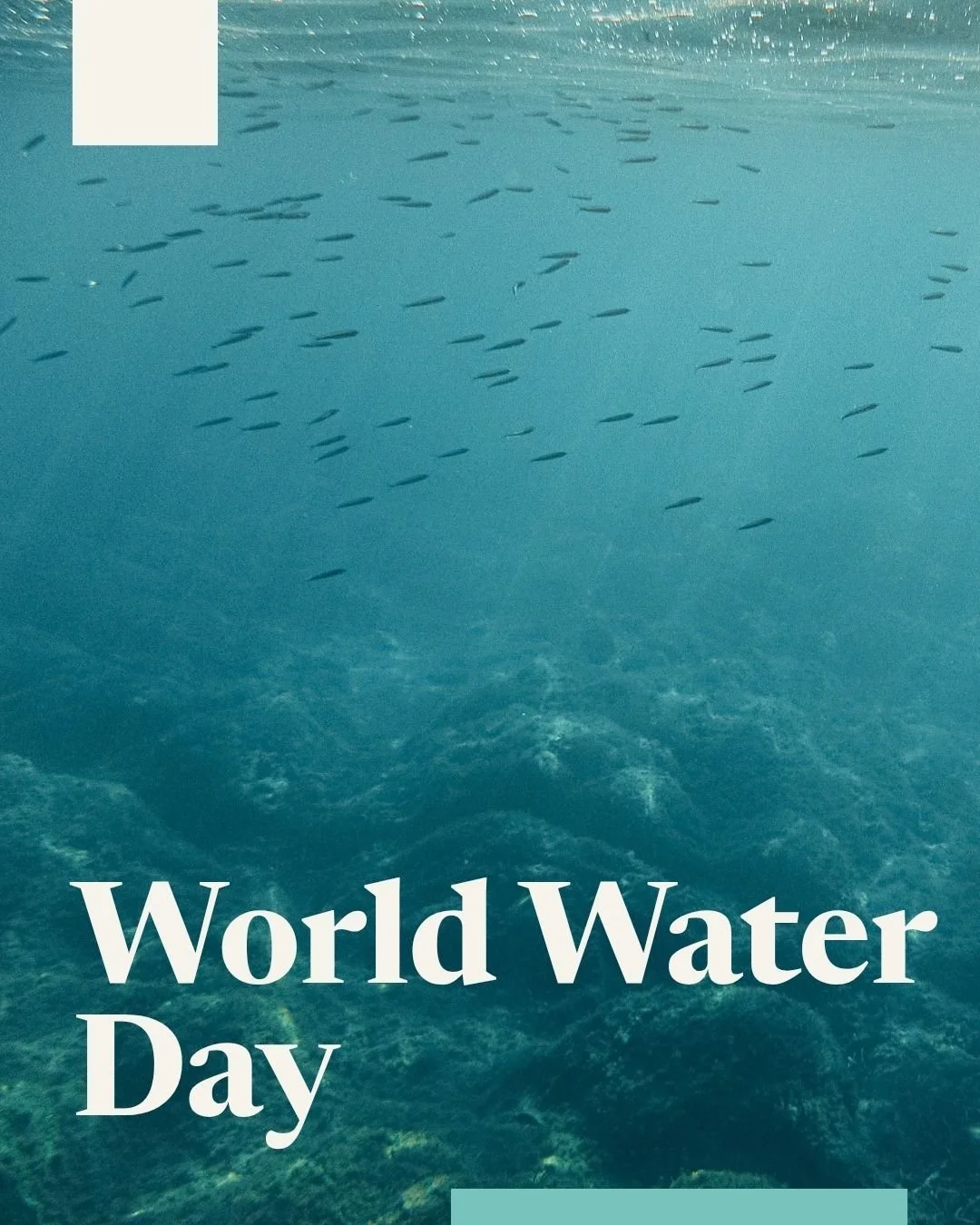 Today, we are celebrating World Water Day 💧

This year's World Water Day theme is &ldquo;Water and Gender Equality&rdquo;, highlighting the links between equitable water access, sustainable development and human rights.

To learn more about World Wa