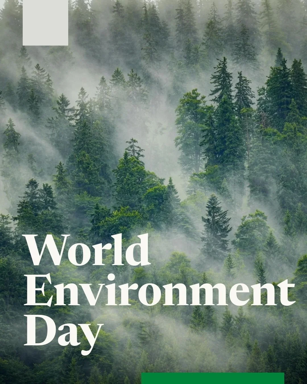 Happy World Environment Day! 🌱

World Environment Day is a global platform for raising awareness and taking action on critical environmental issues. It serves as a reminder of our collective responsibility to protect and preserve the planet we share