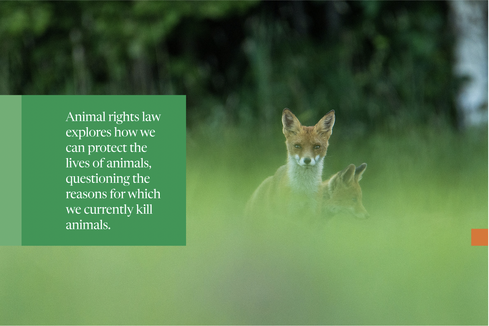 Screenshot 2026-01-21 at 16.18.52.png