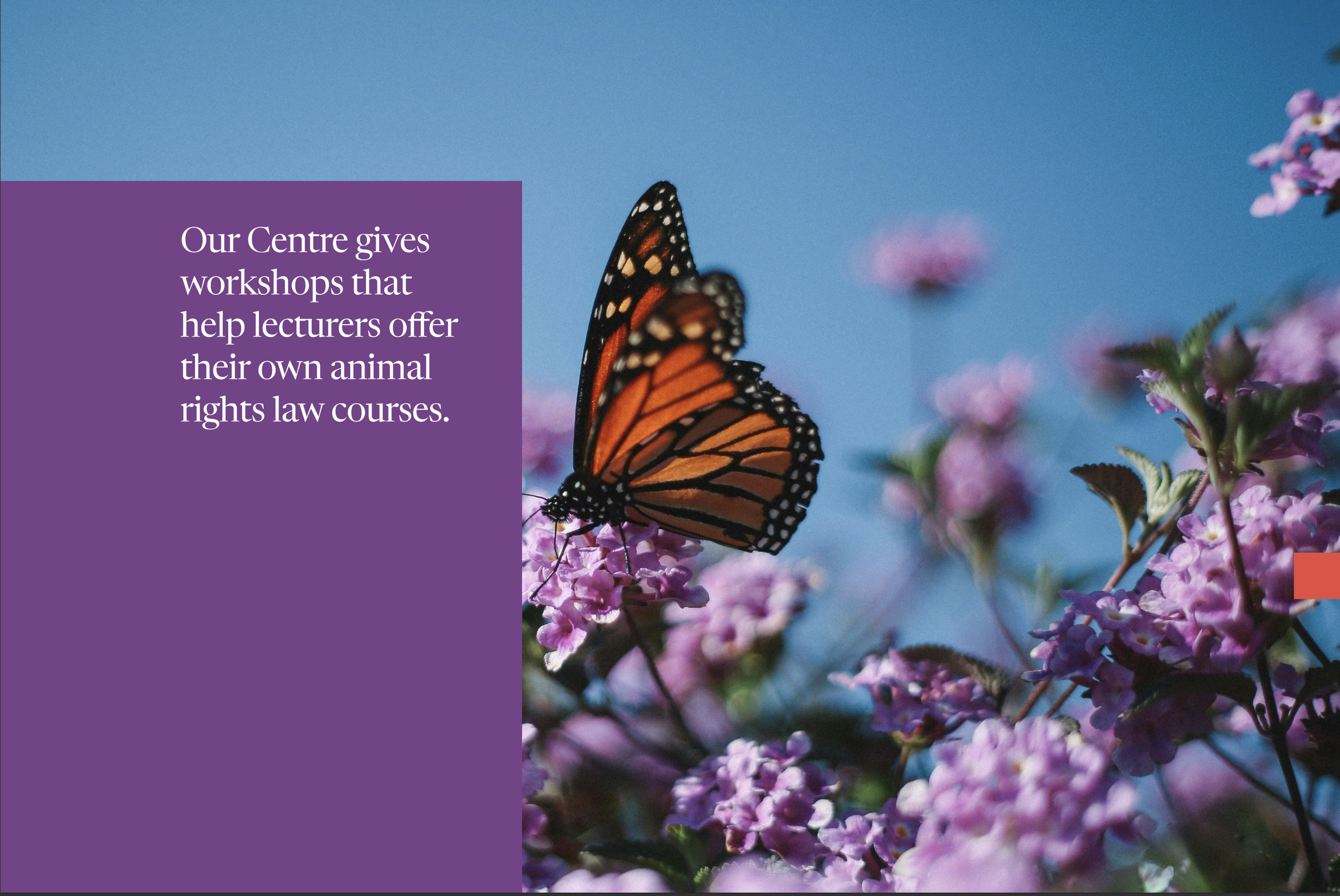 Screenshot 2026-01-21 at 16.15.19.png