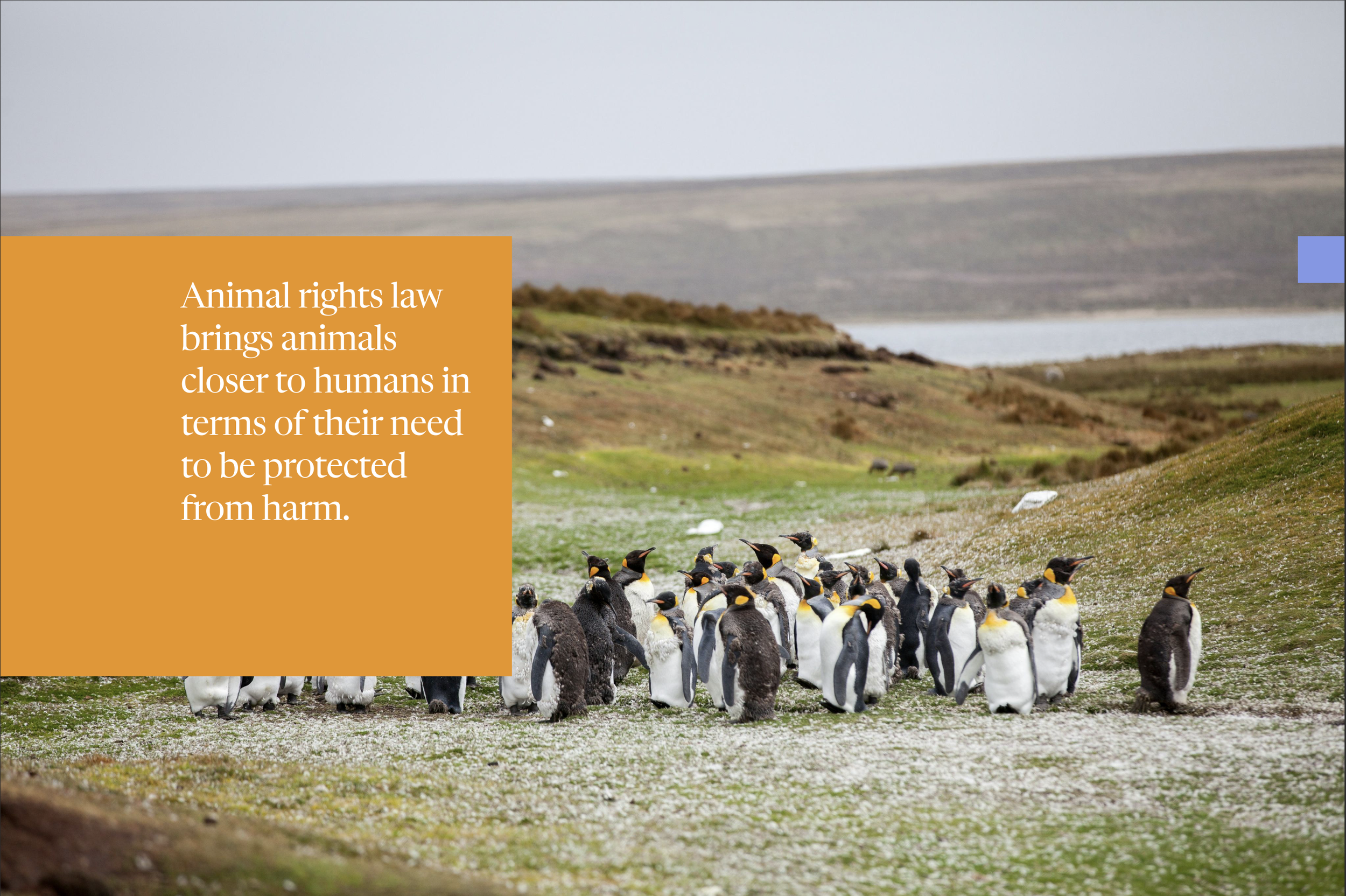 Screenshot 2026-01-21 at 16.14.54.png