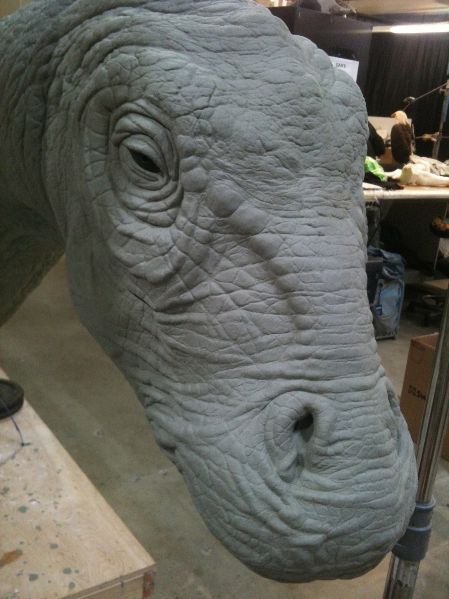 A realistic sculpture of an elephant's head, showing detailed wrinkles and features.