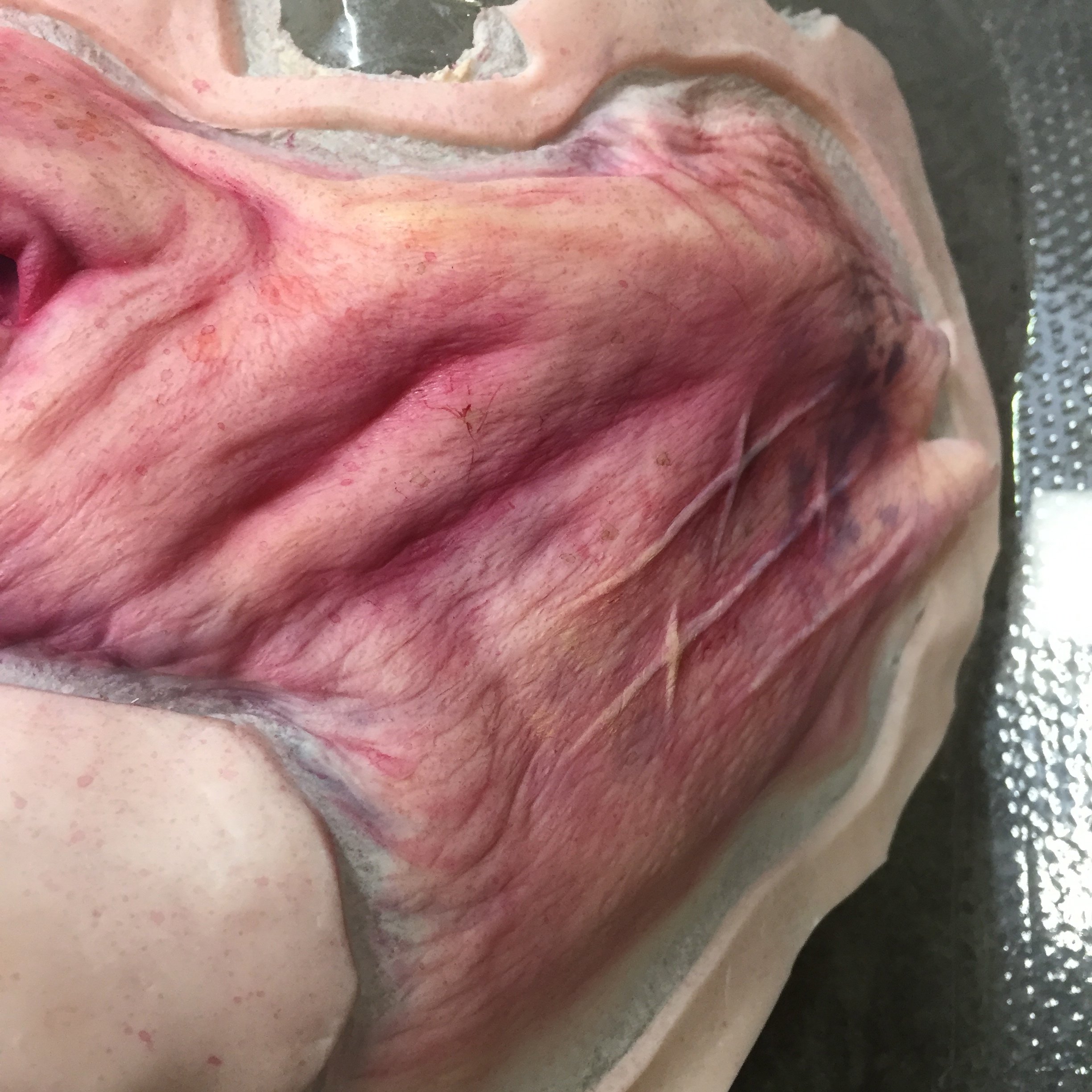 Guardians of the Galaxy vol. 2, I pre-painted prosthetic makeups for the Ravager character and Taserface at Legacy Effects