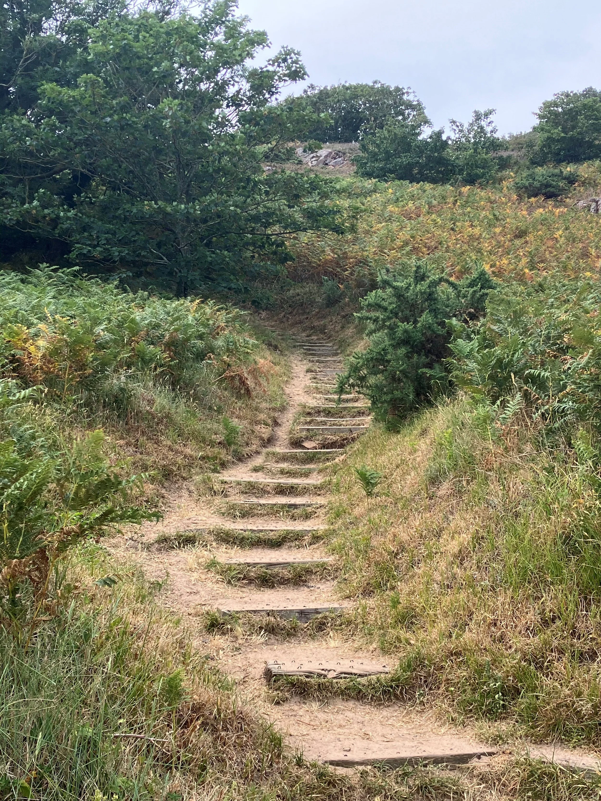 One Day Workshop: Wellbeing, Flourishing and the Life We Are Given