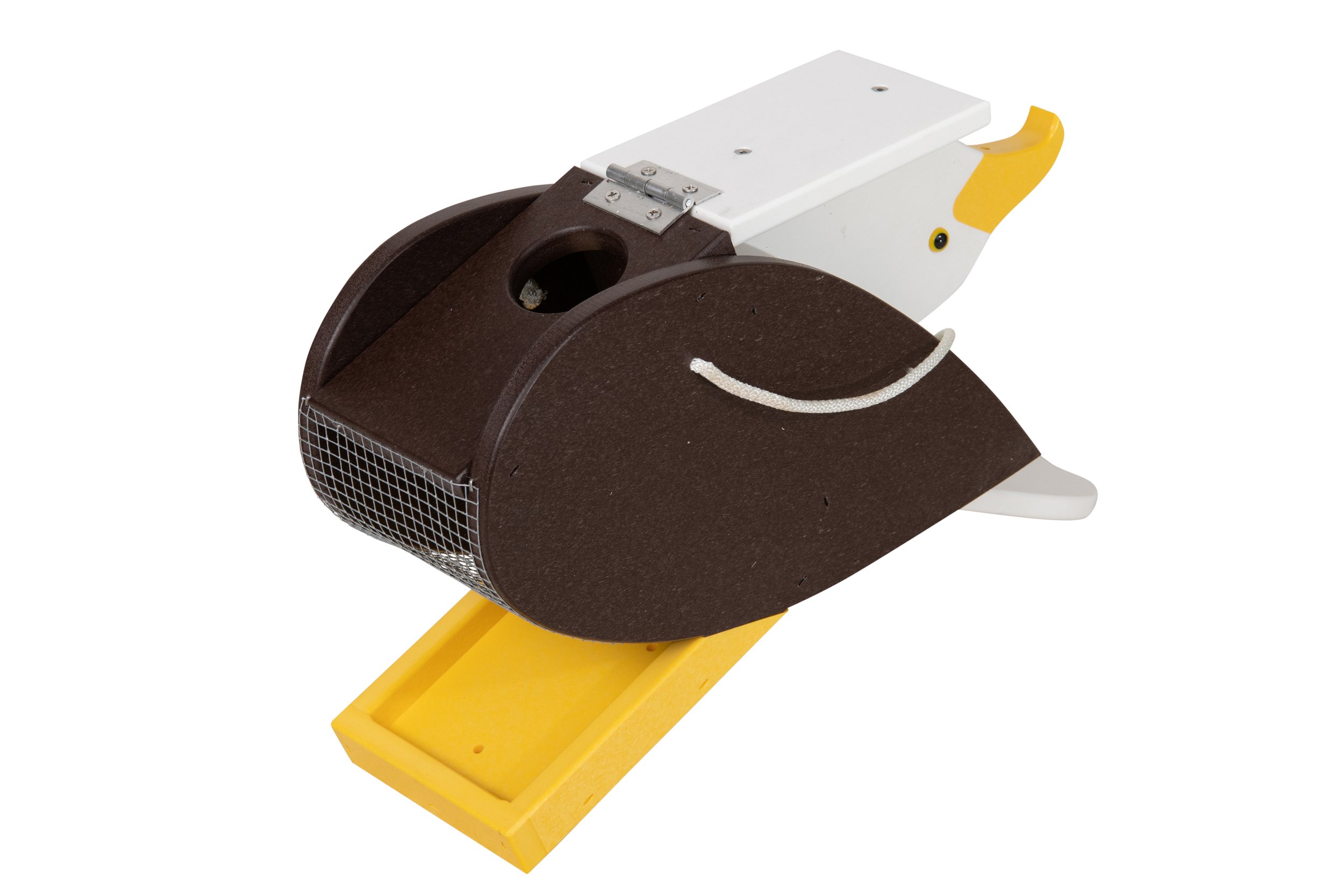 birdfeeder poly bald eagle open .jpg