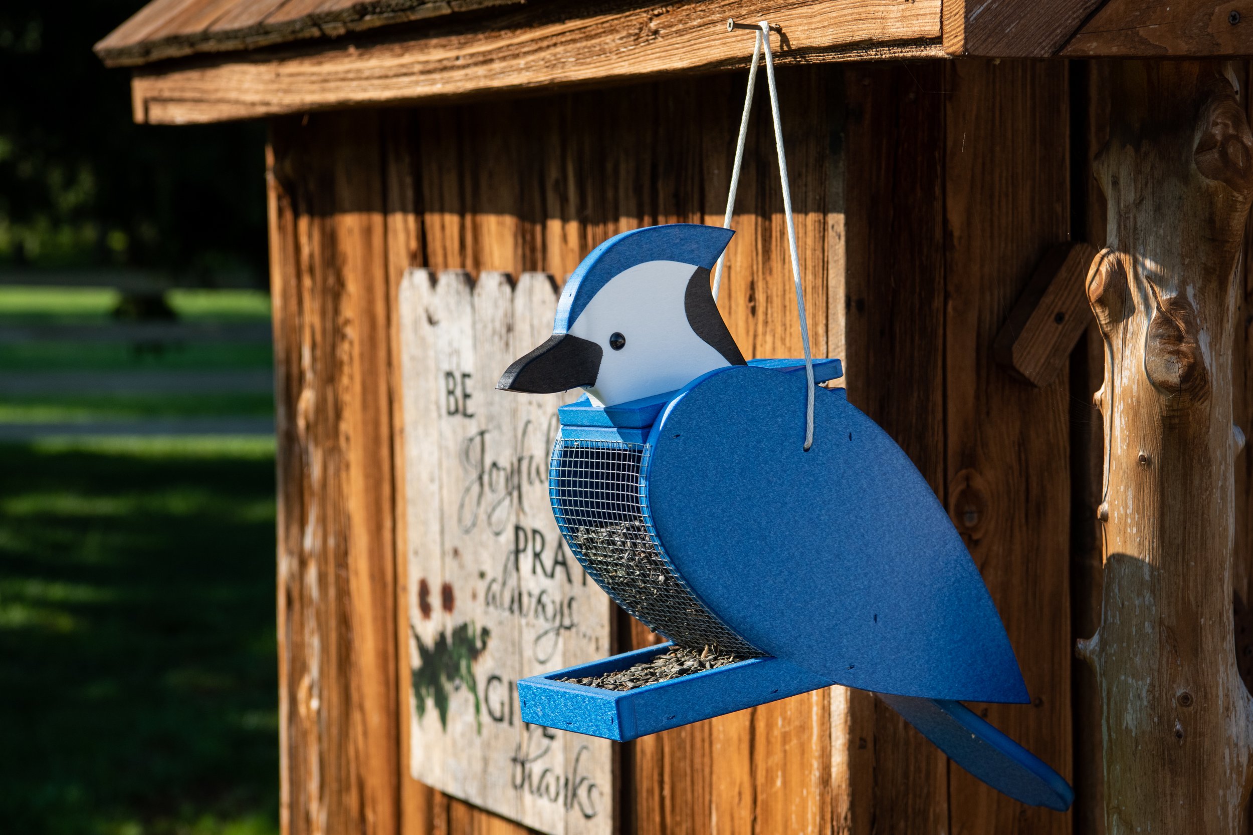 birdfeeder poly blue jay 2 .jpg