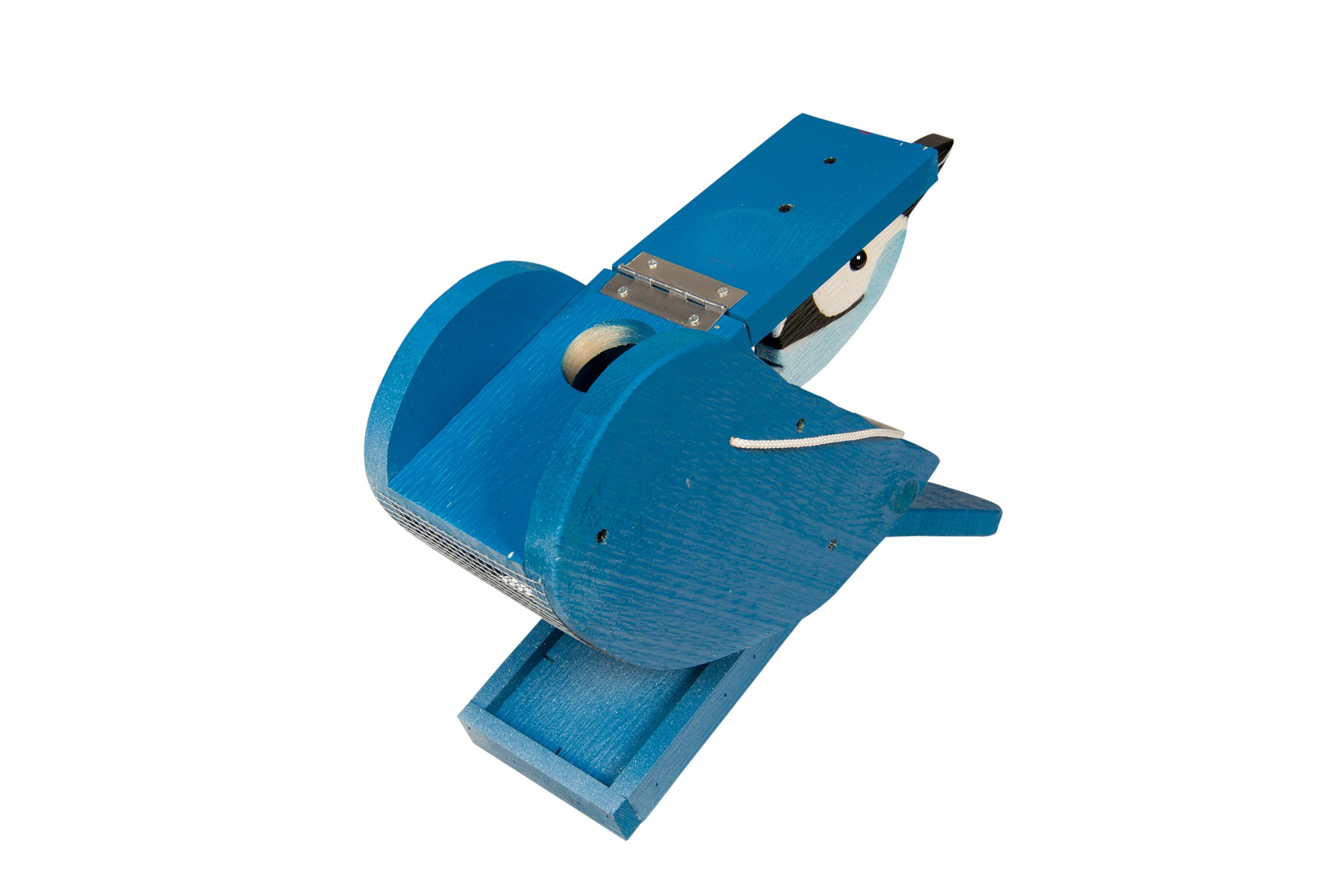 blue jay bird feeder open .jpg