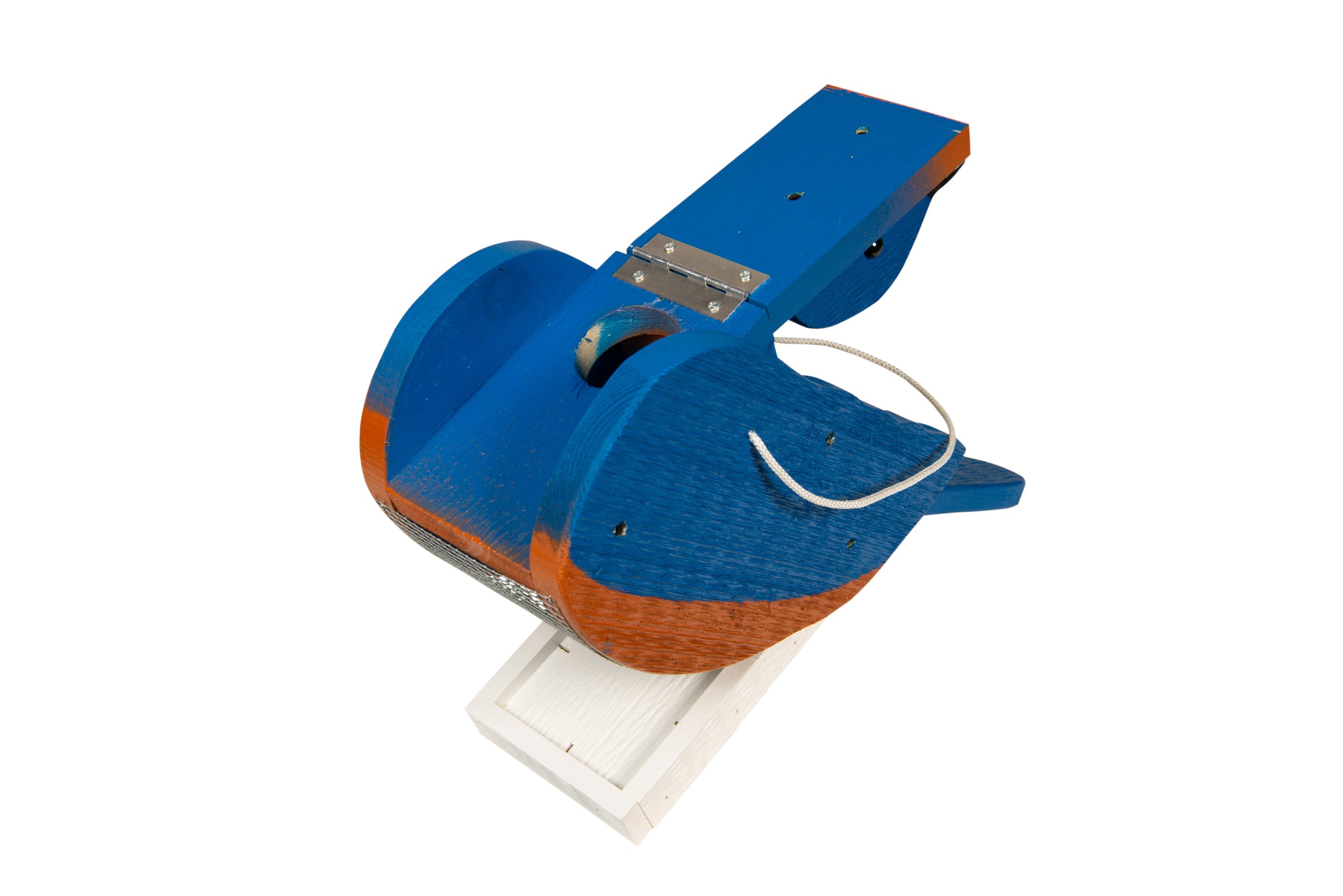 blue bird feeder open .jpg