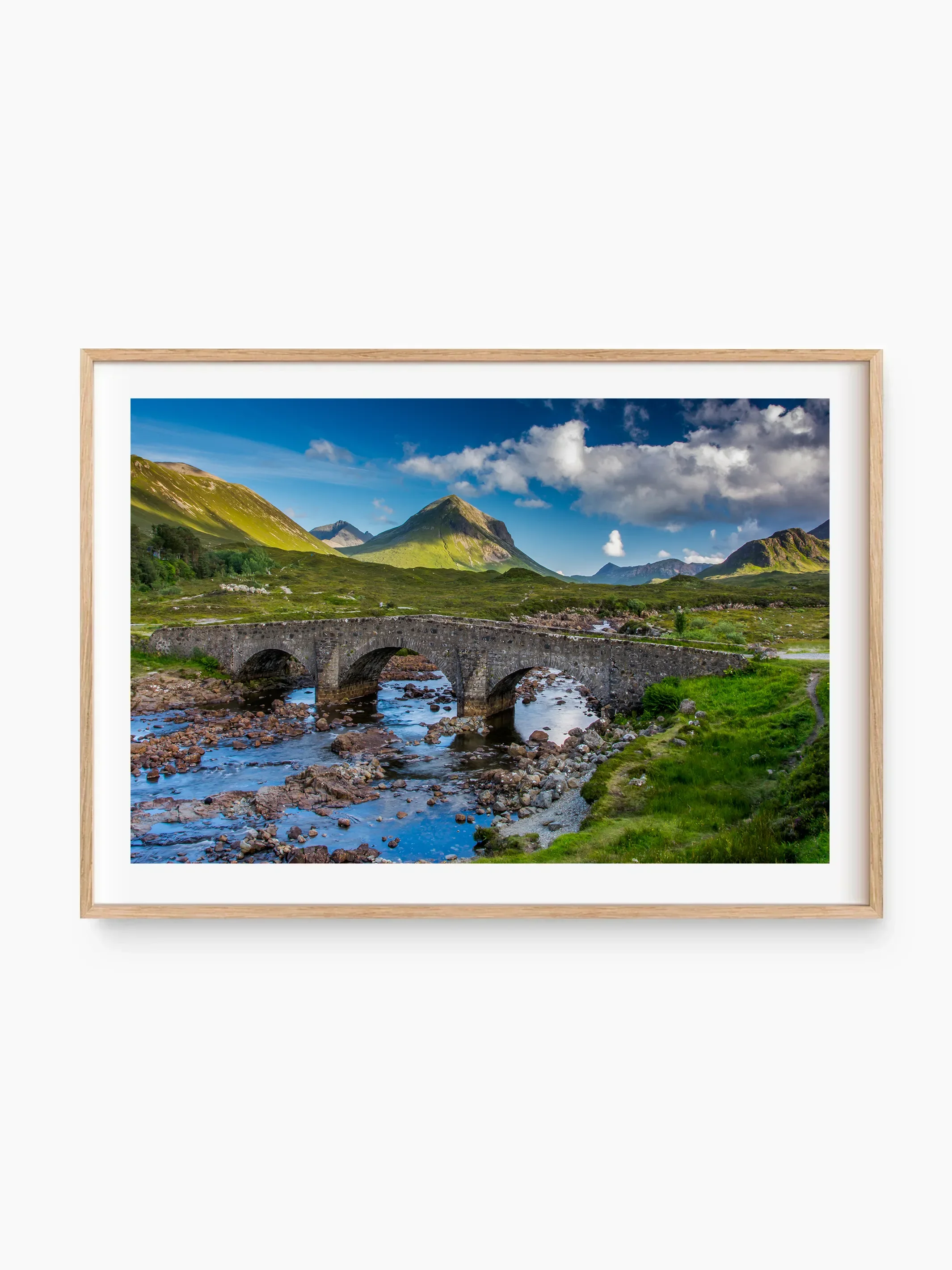 beech_template copy.webp