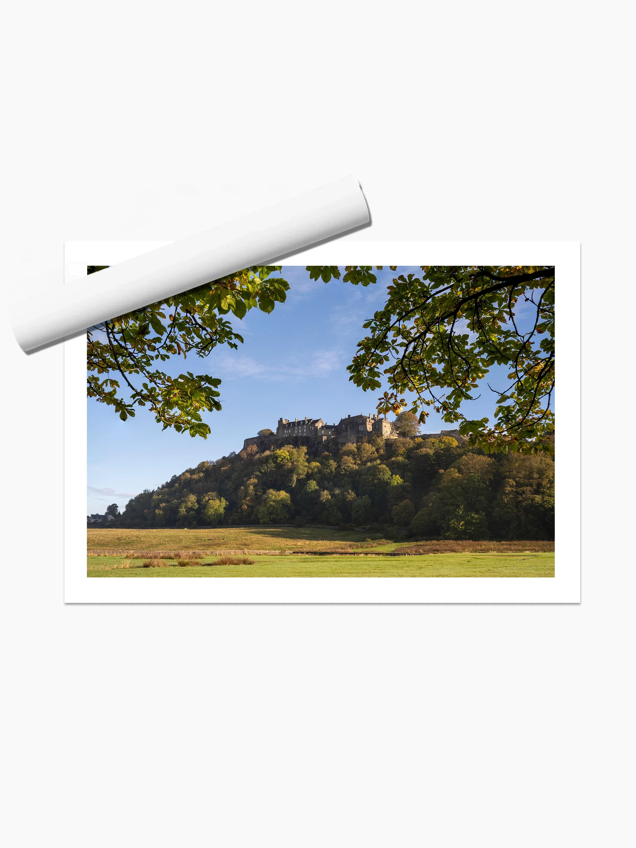 print template copy.webp