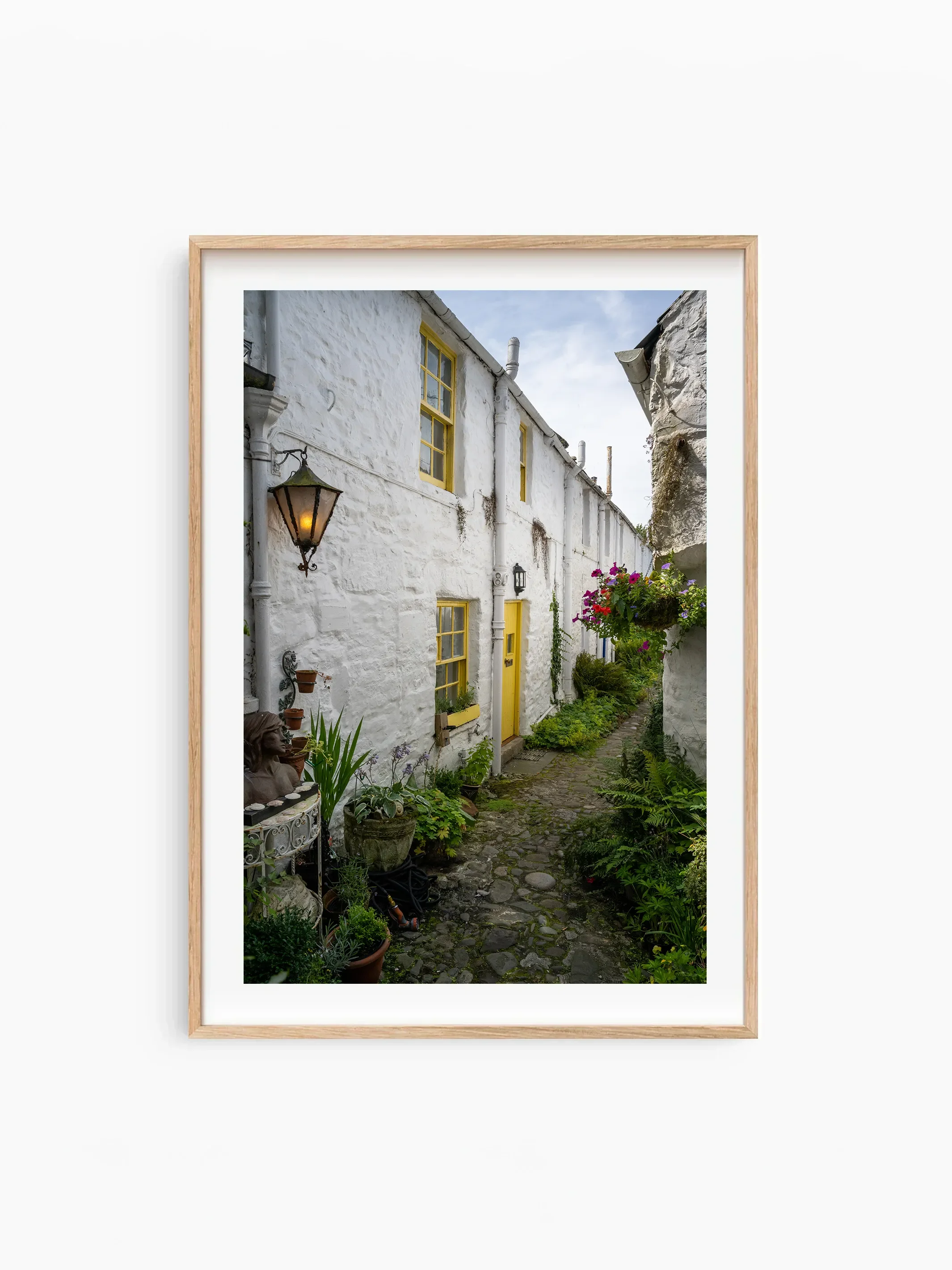 Portrait_Beech_template copy.webp