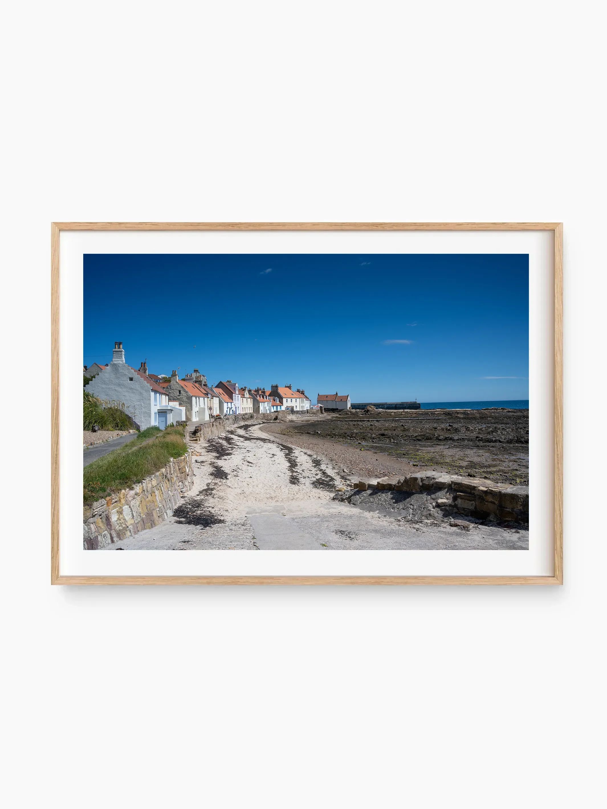 beech_template copy.webp