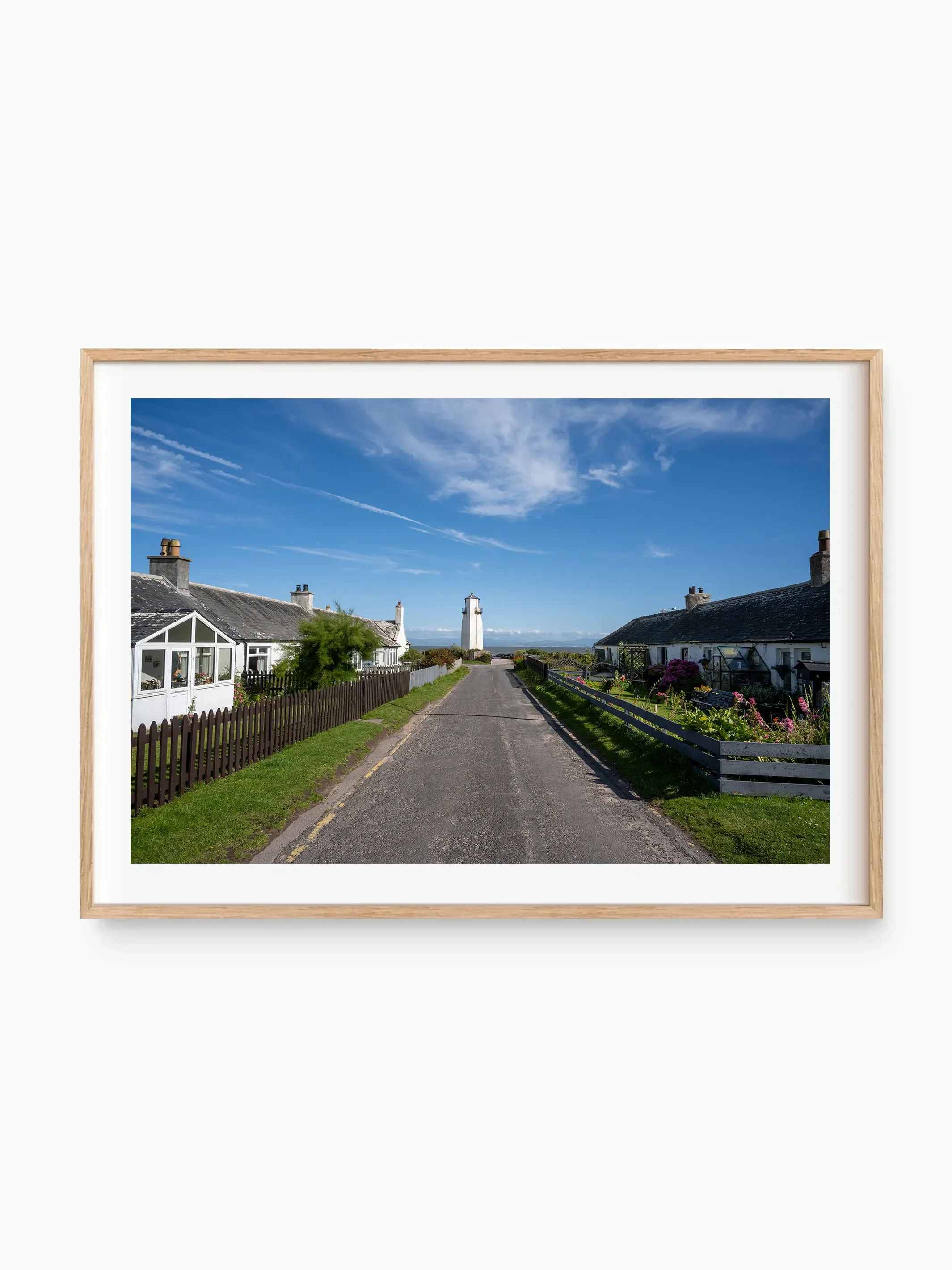 beech_template copy.webp