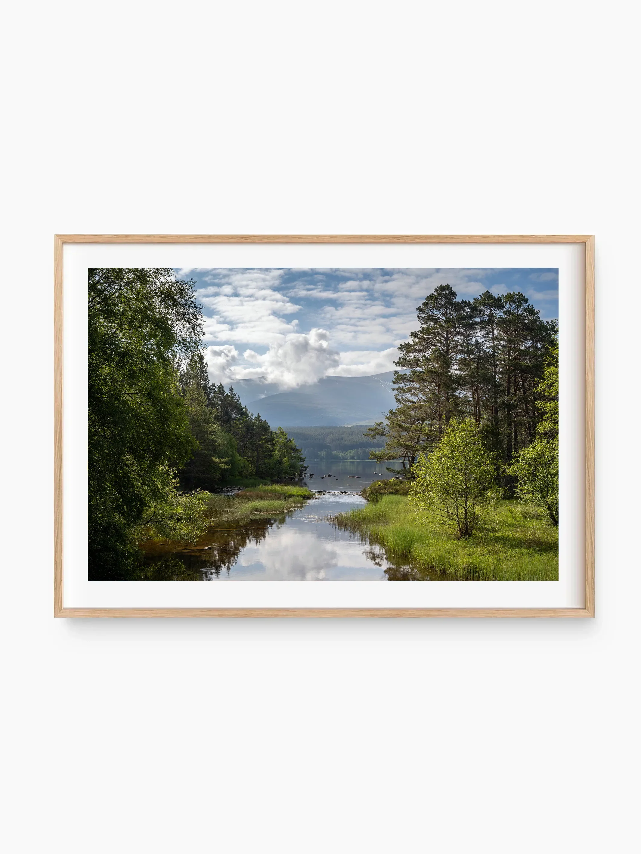 beech_template copy.webp