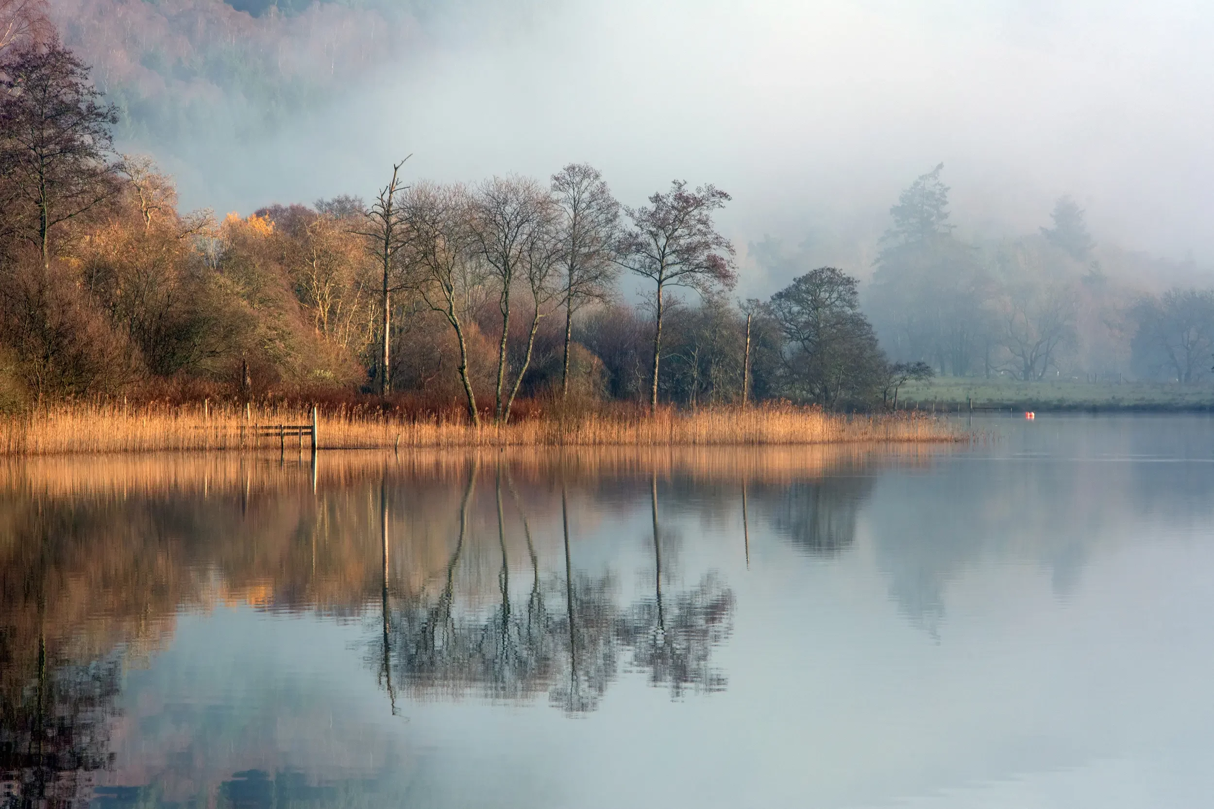 Loch Ard, The Trossachs National Park