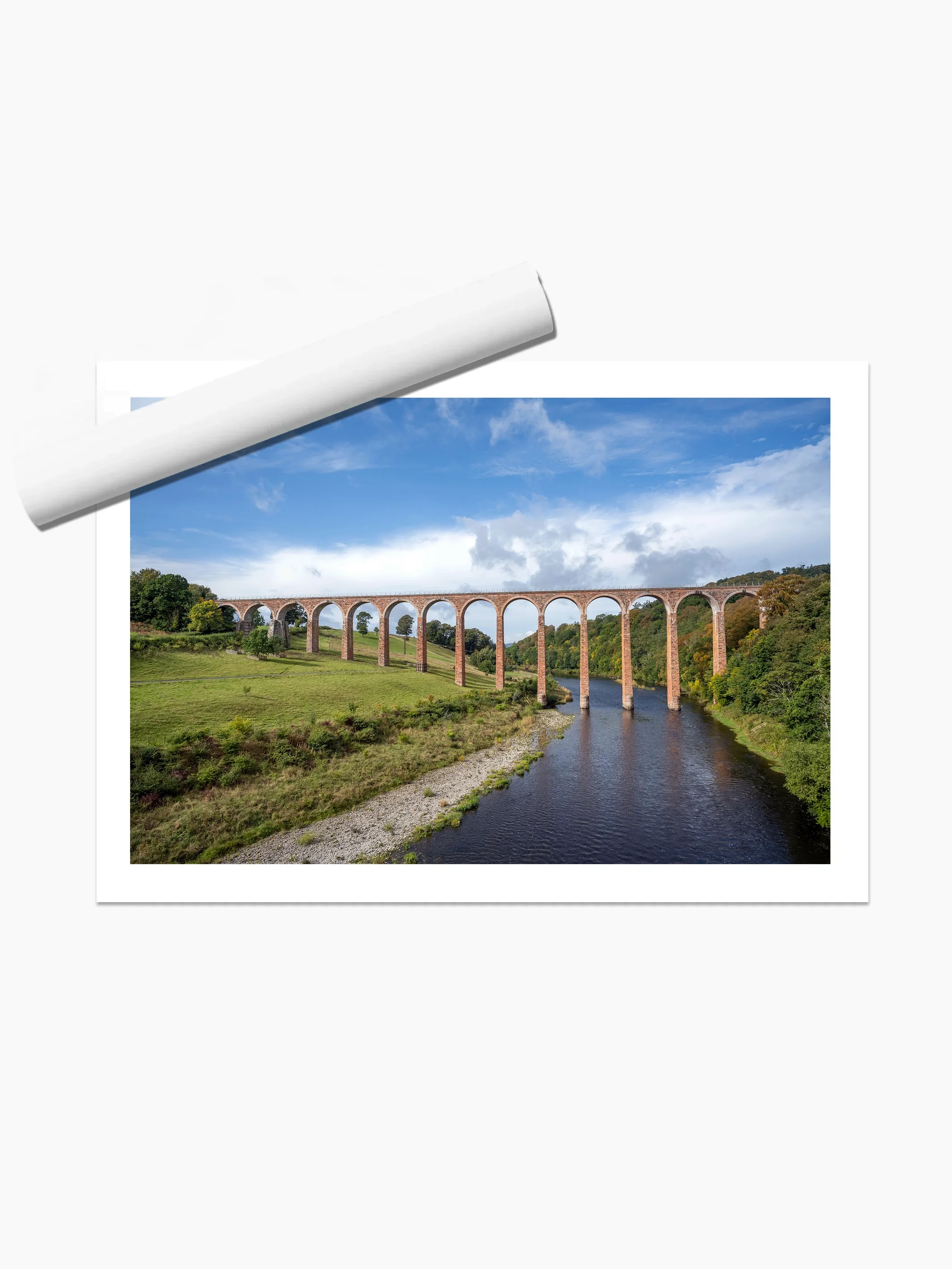 print template copy.webp