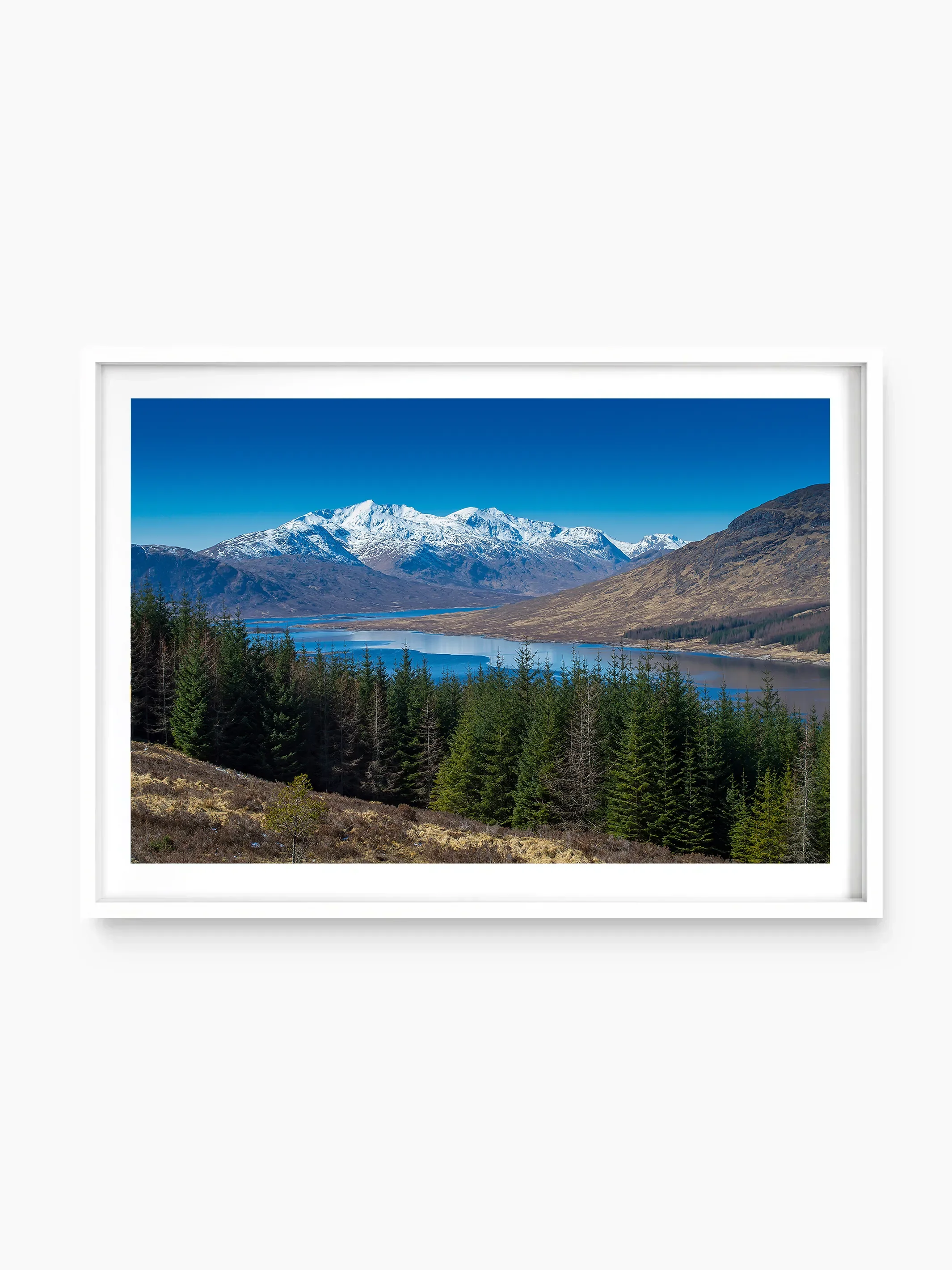 white_template copy.webp