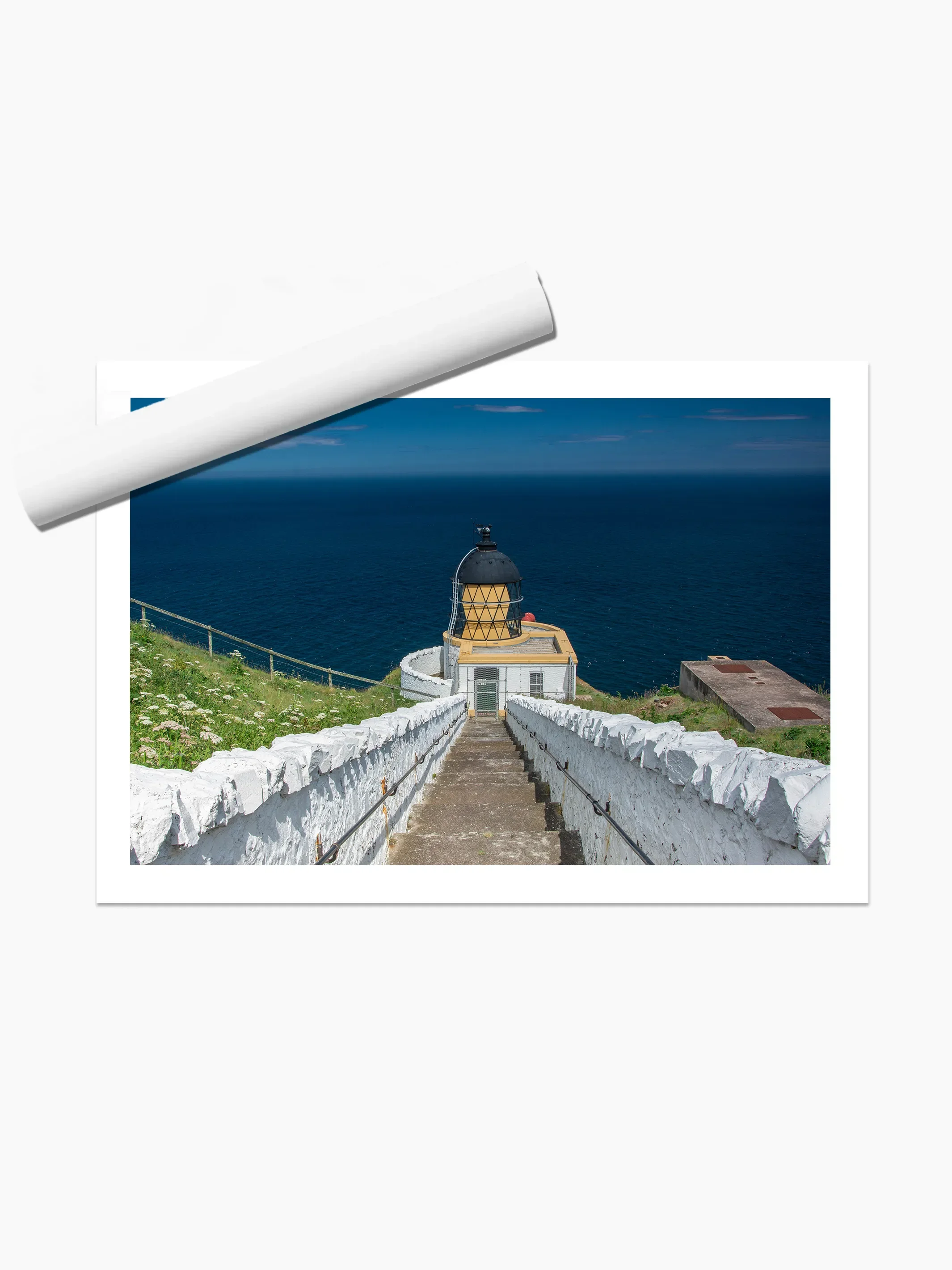 print template copy.webp