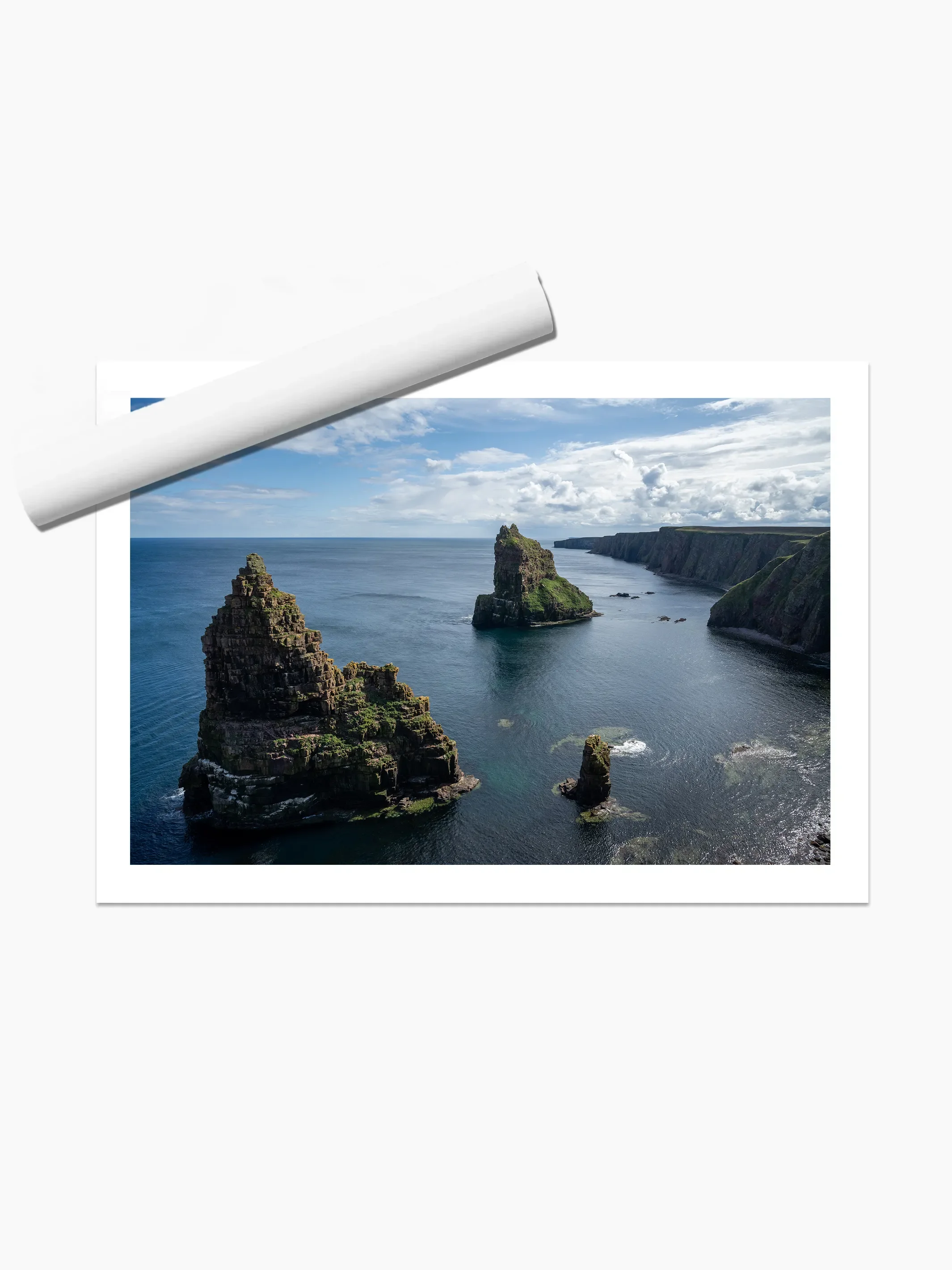 print template copy.webp