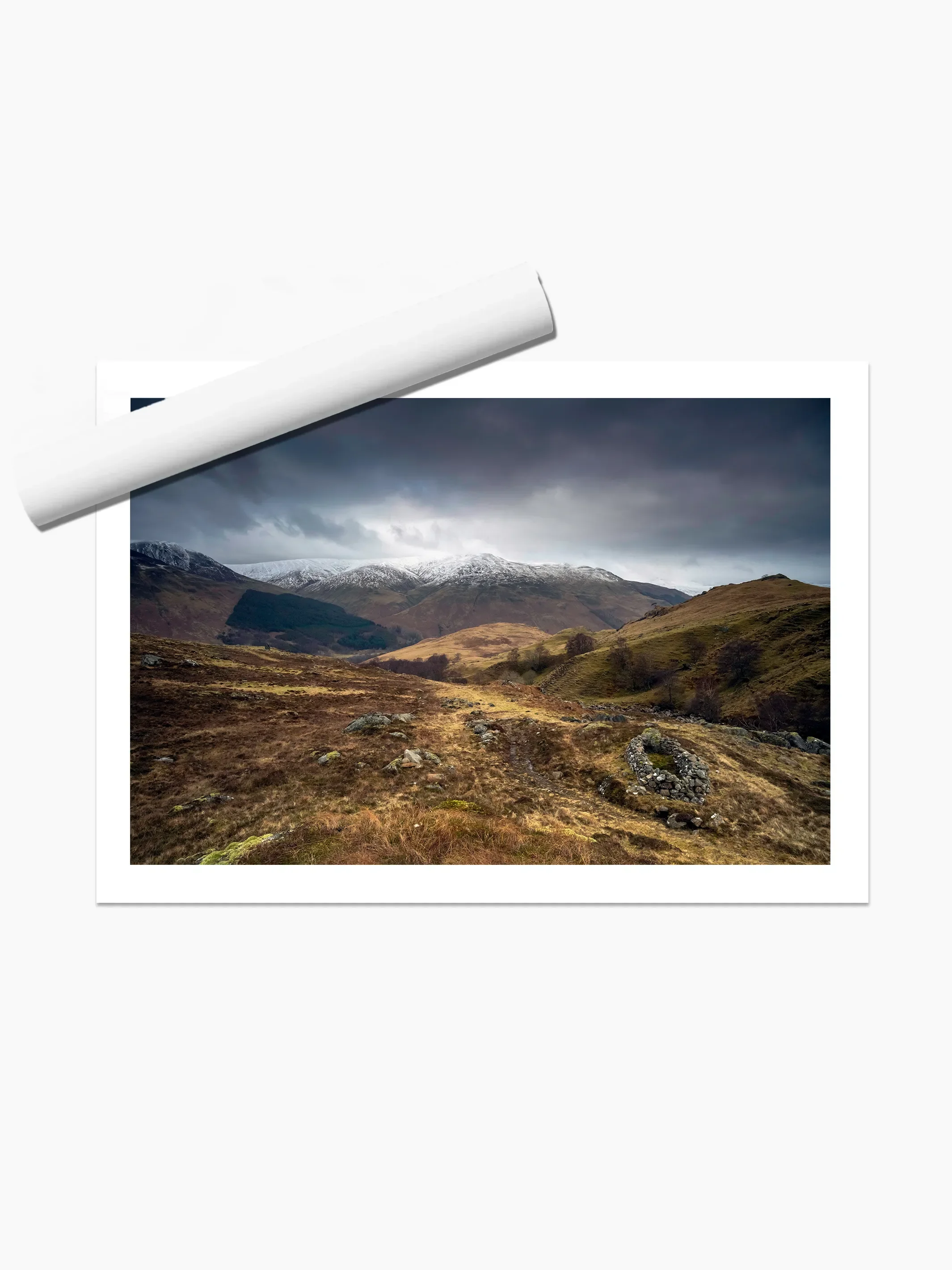 print template copy.webp