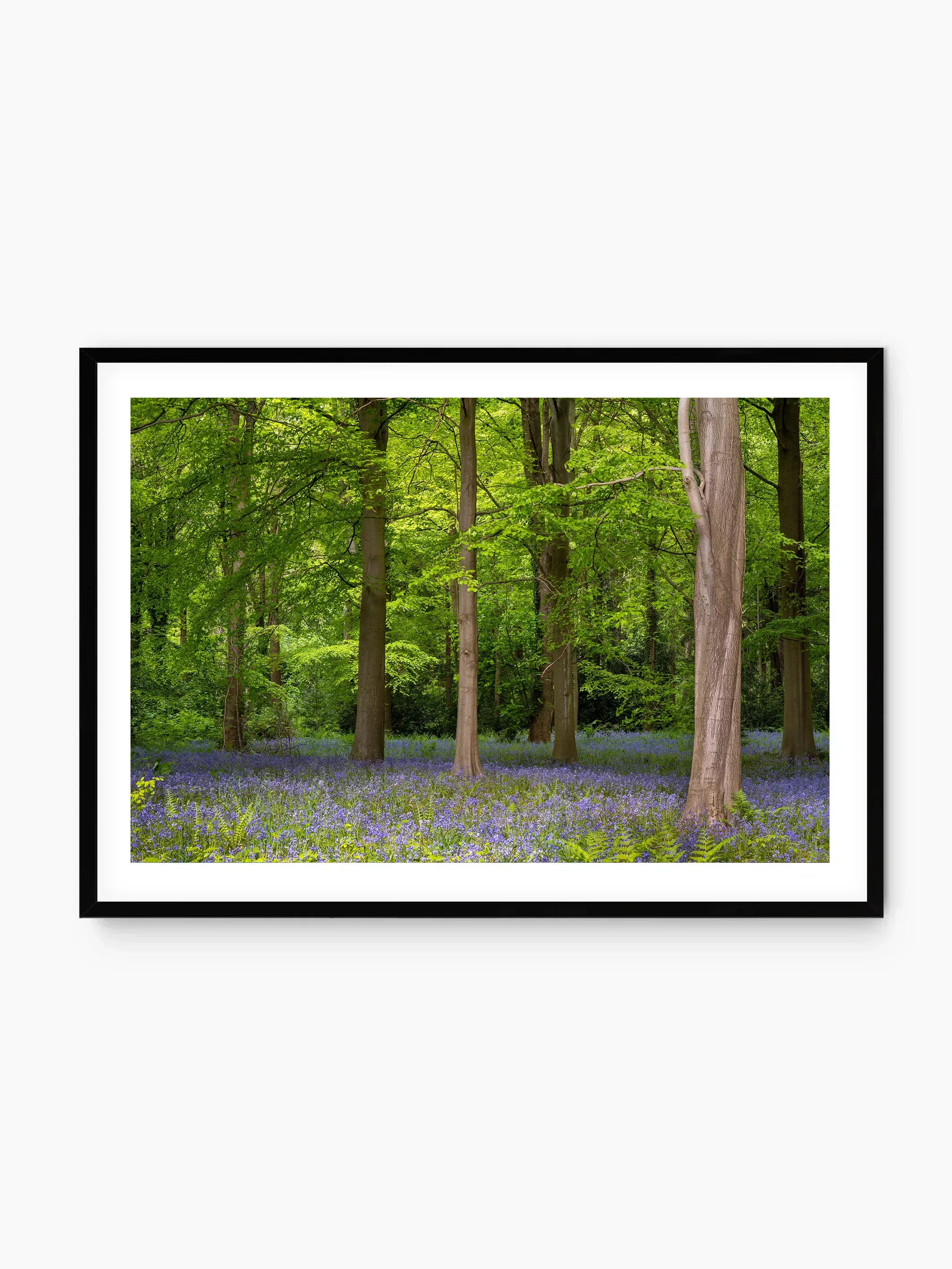 black_template copy.webp