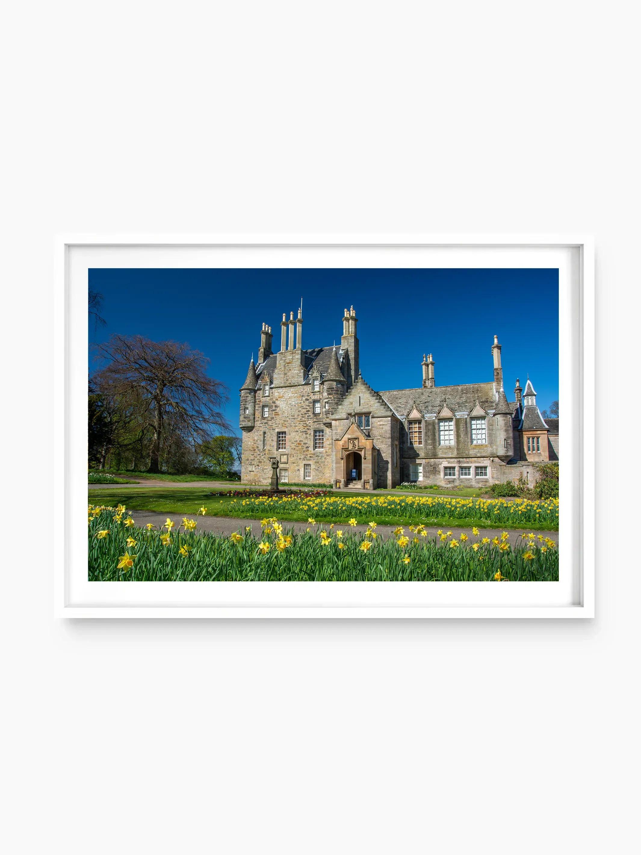 white_template copy.webp