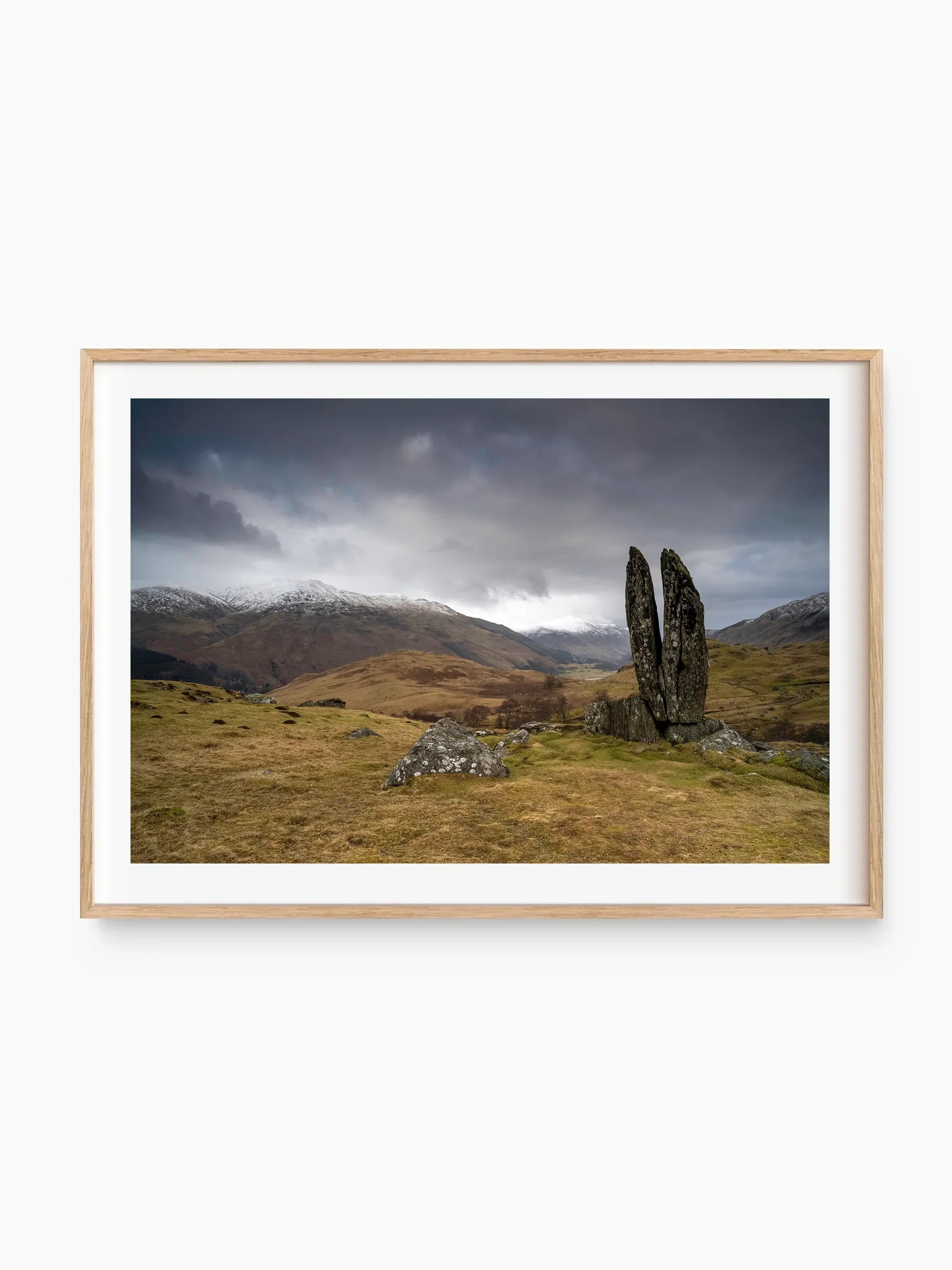 beech_template copy.webp