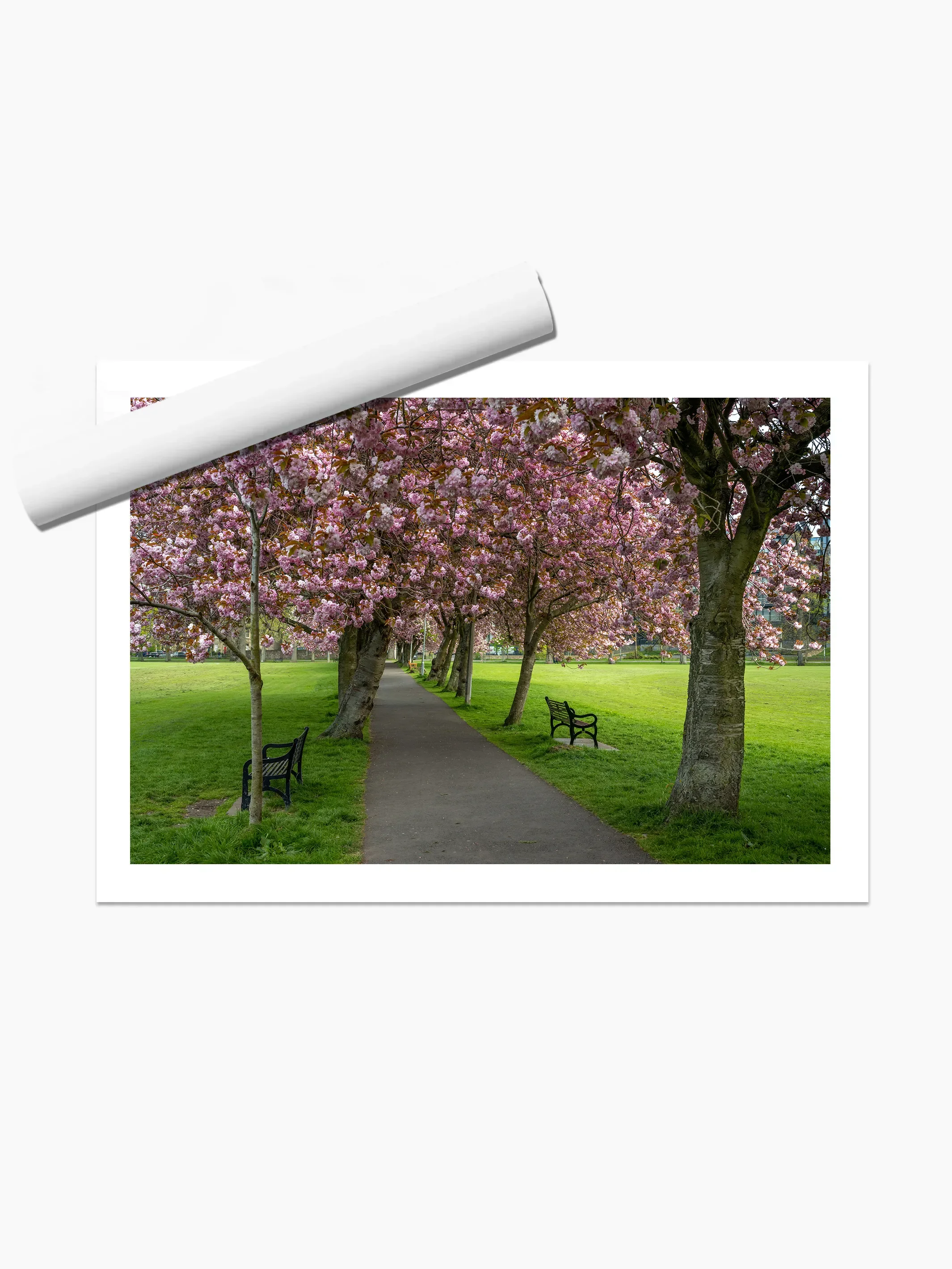 print template copy.webp