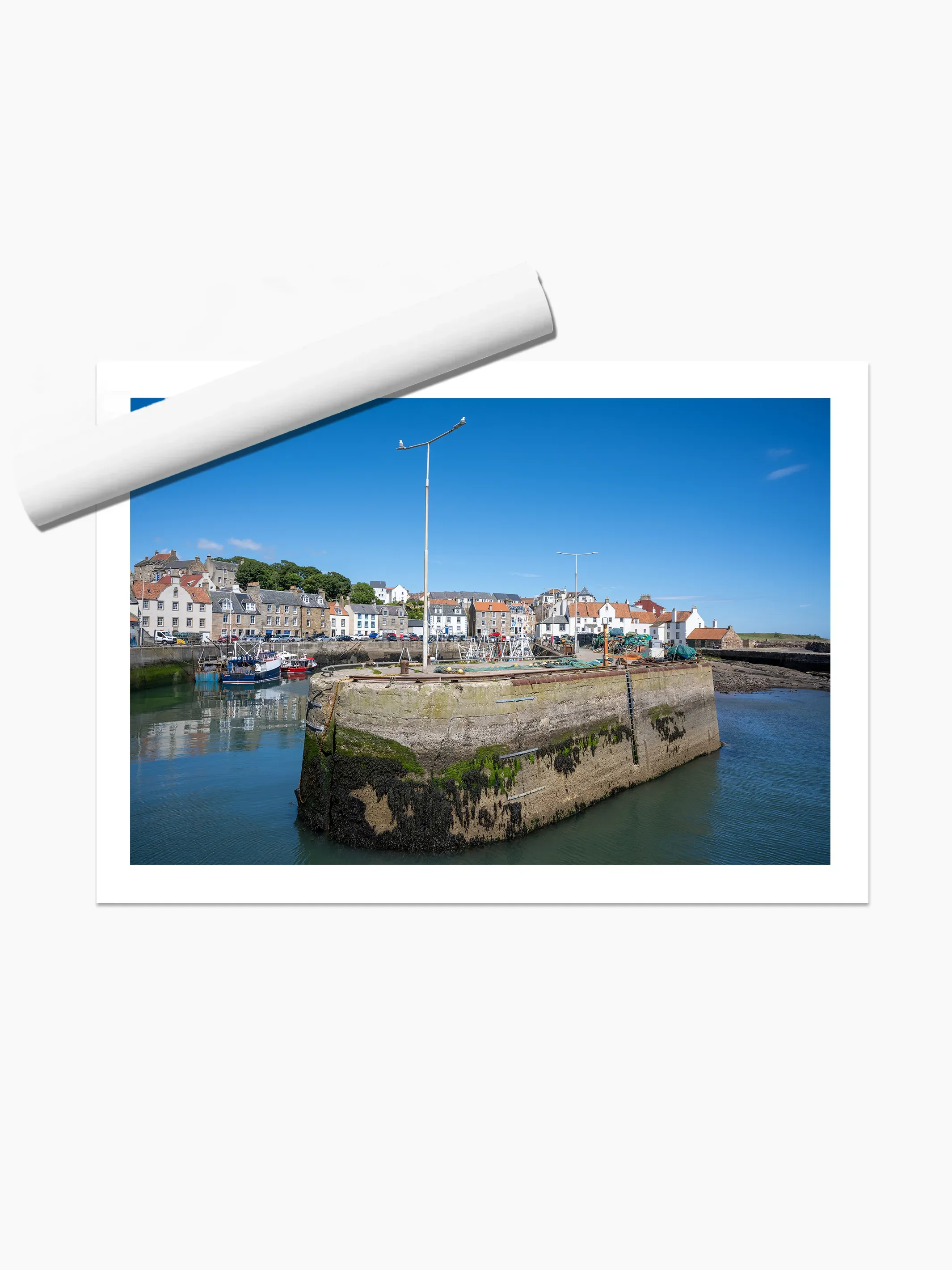 print template copy.webp