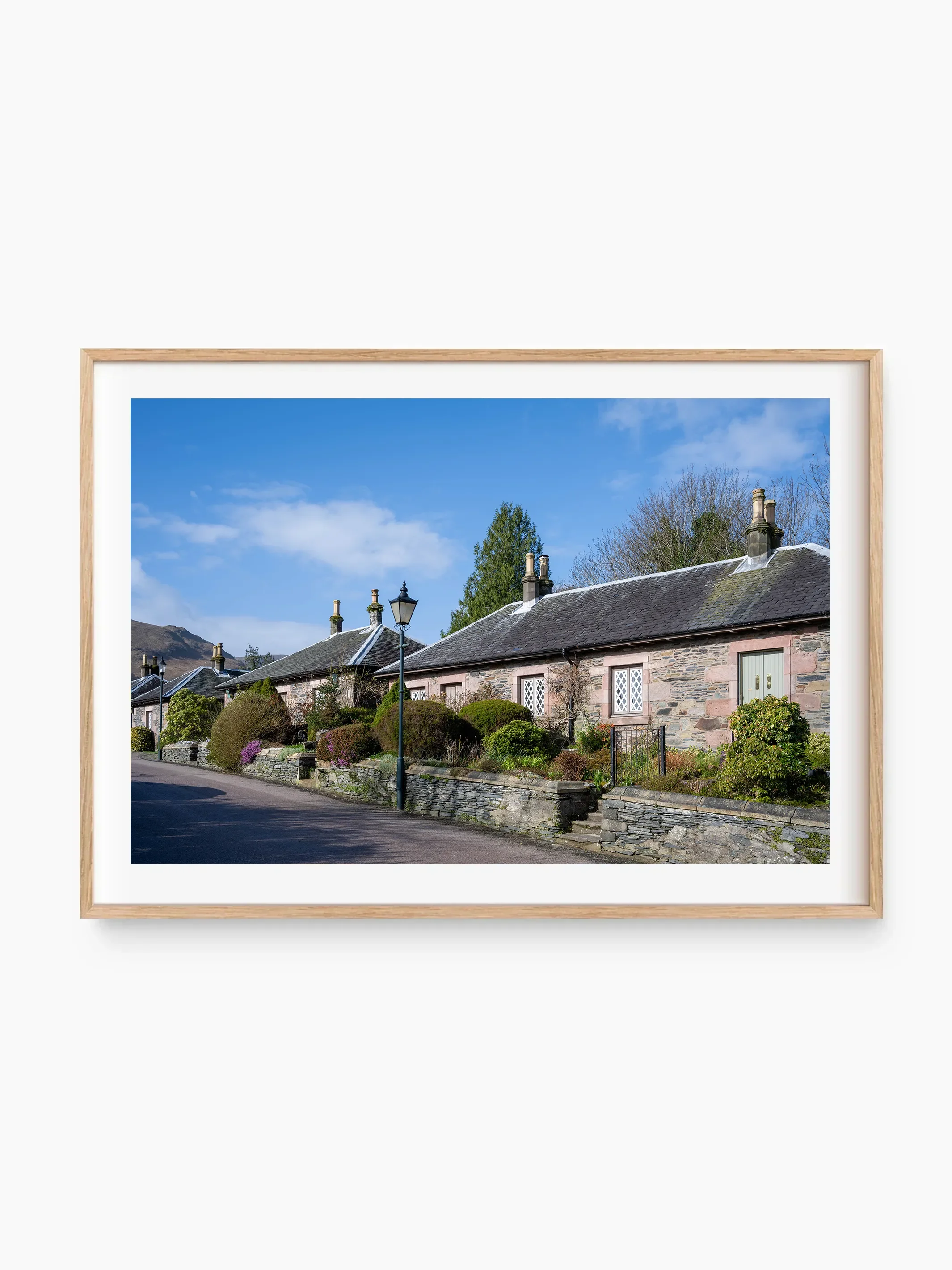 beech_template copy.webp