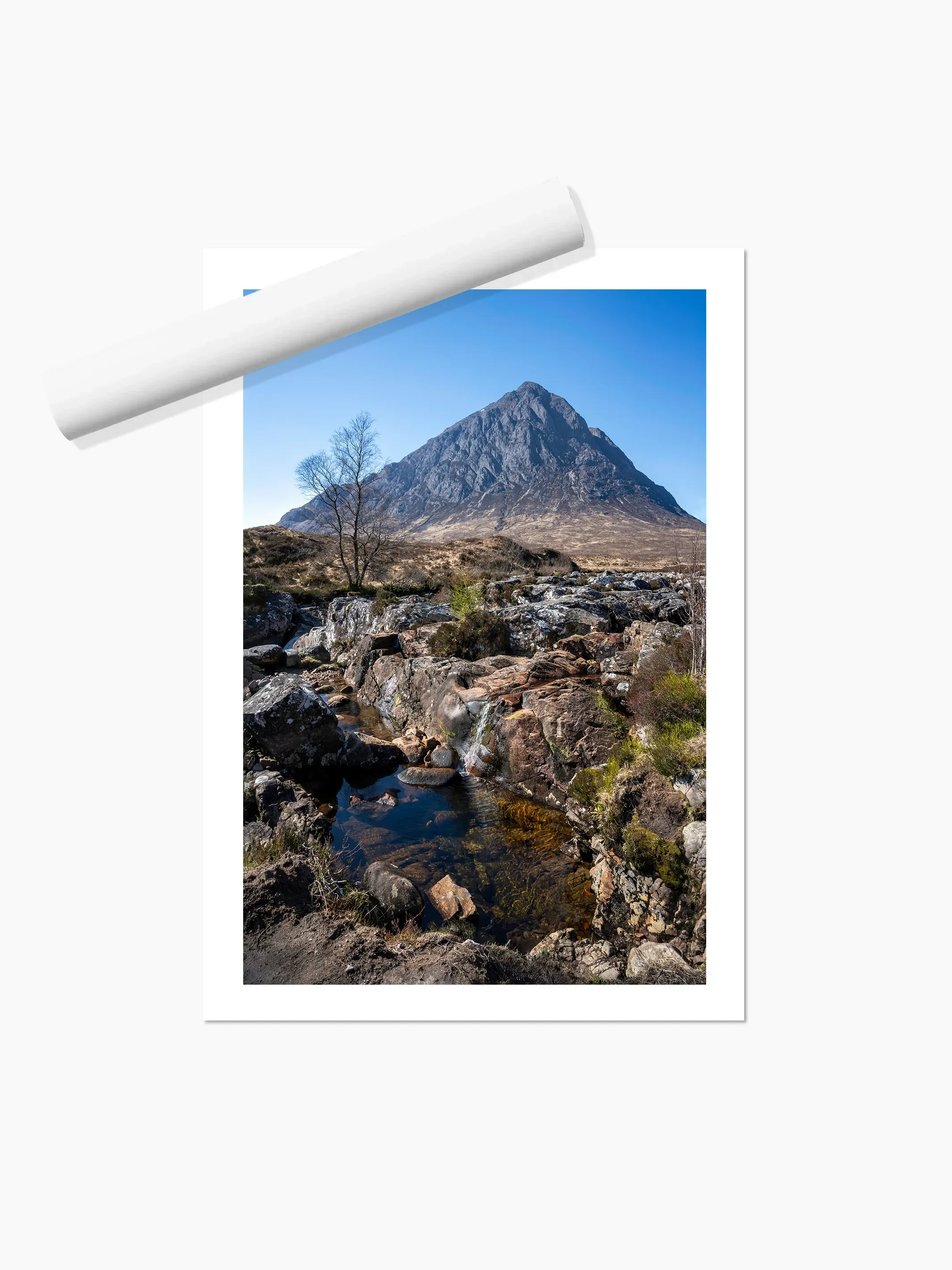 Portrait_print copy.webp