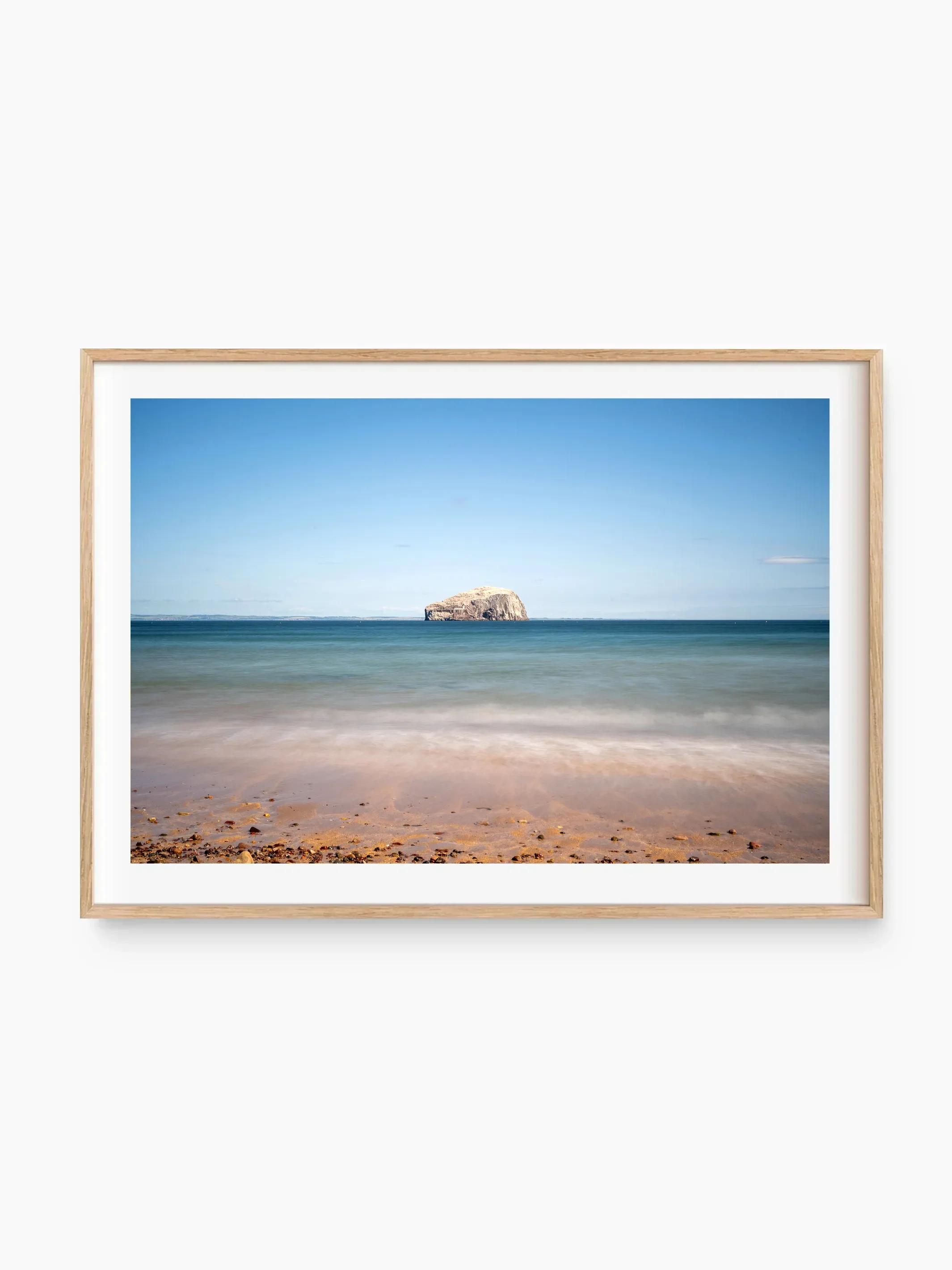beech_template copy 2.webp
