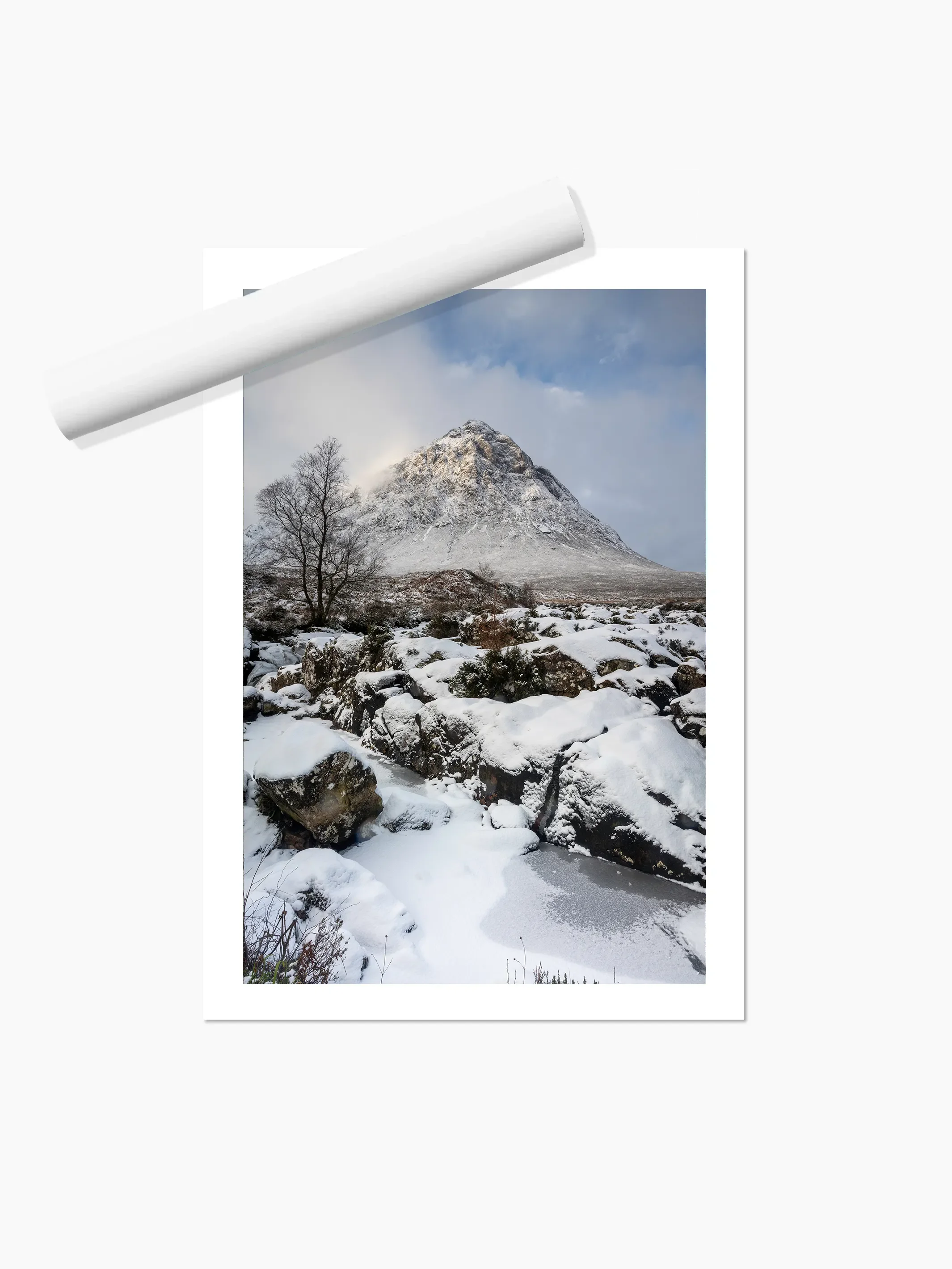 Portrait_print copy.webp