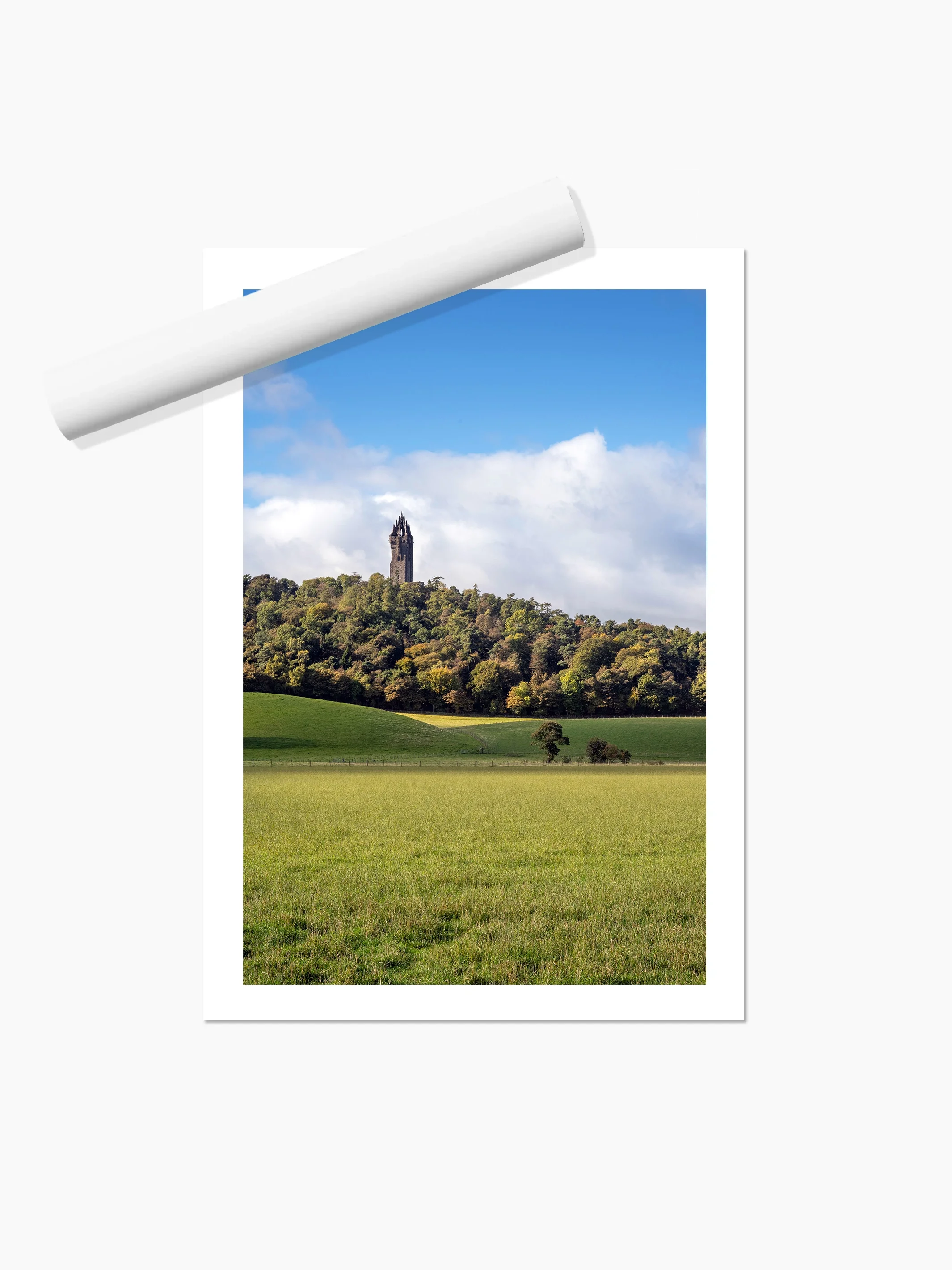 Portrait_print copy.webp