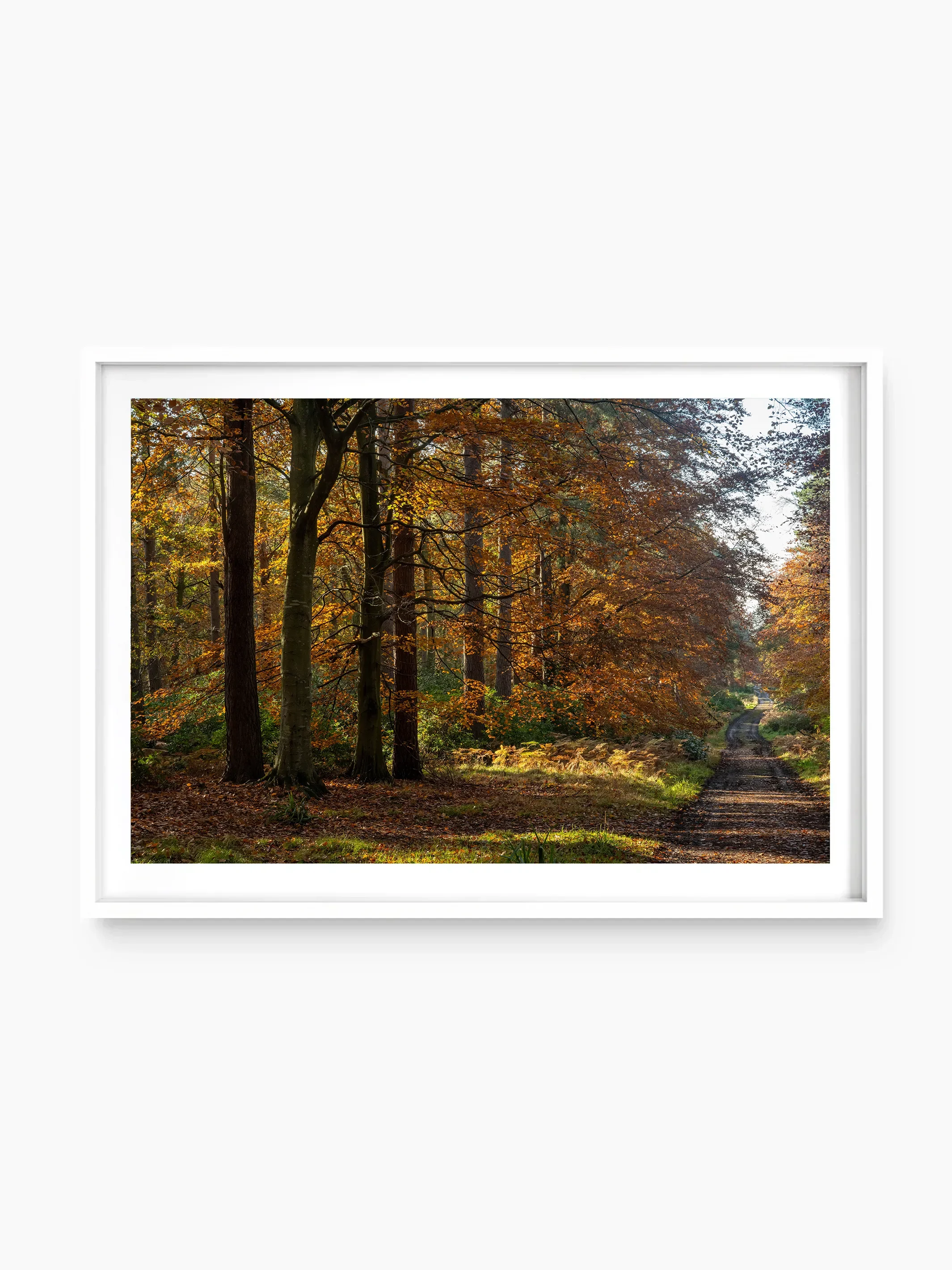 Woodlands, Longniddry